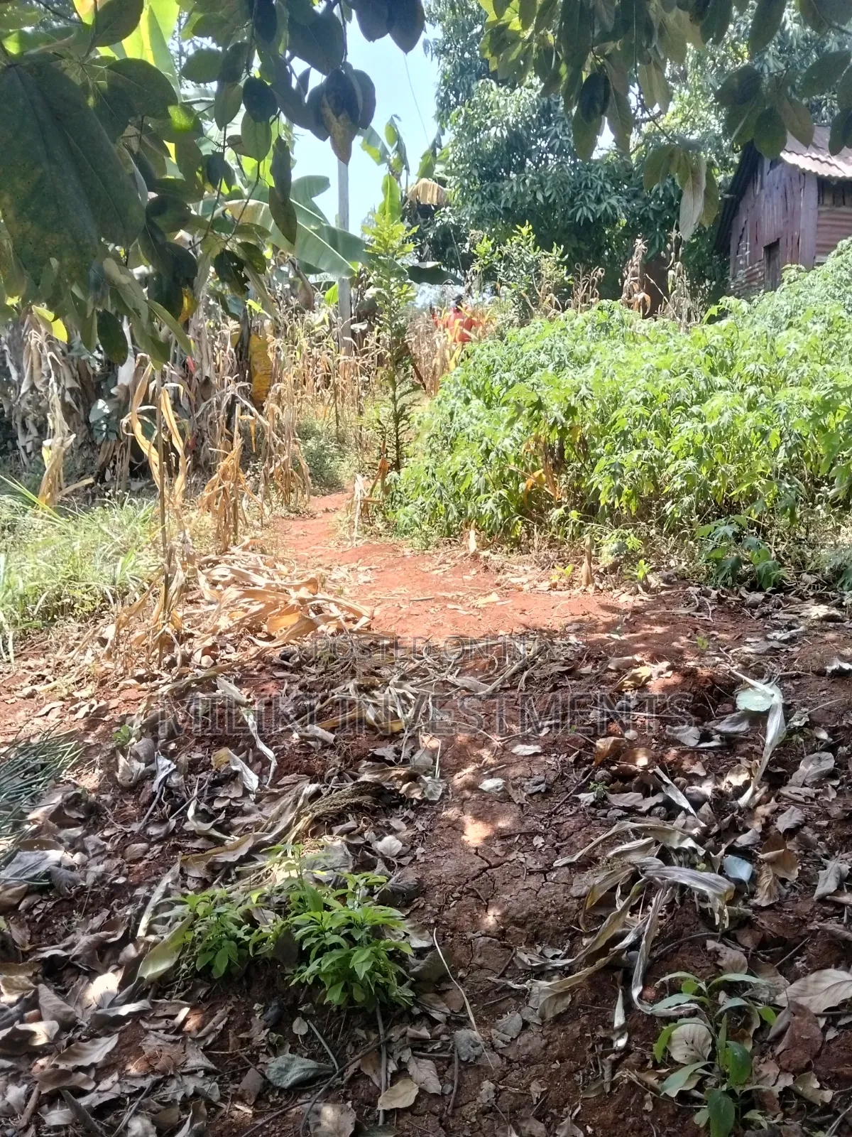 1 Acre Land Touching Tarmac on Sale at Kiamwangi in Kiamwangi