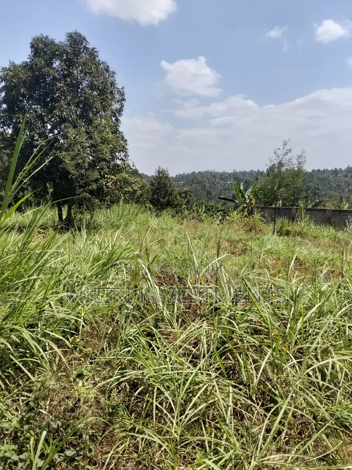 1/4 an Acre on Sale at Kiamwangi -Gatundu South in Kiamwangi