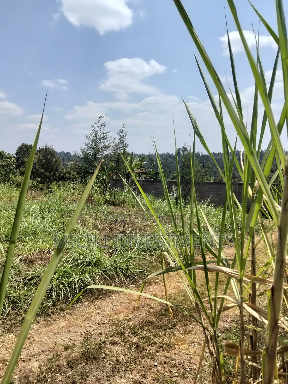 1/4 an Acre on Sale at Kiamwangi -Gatundu South in Kiamwangi