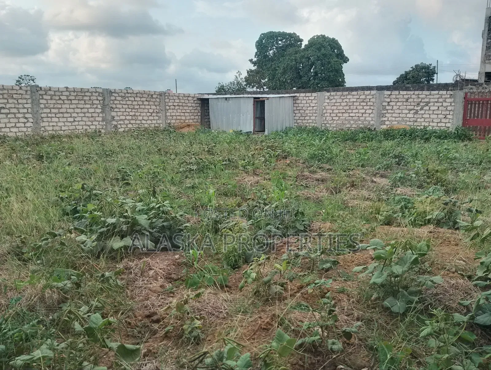50by100 Plot 4 Sale in Bamburi Seven Star in Utange