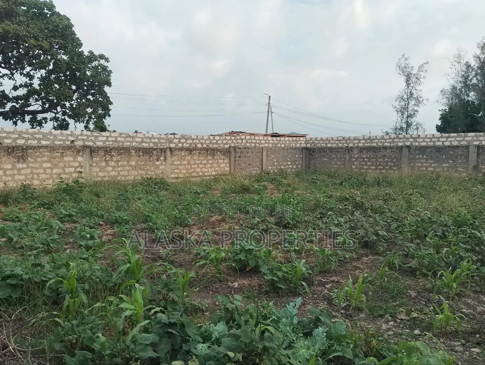 50by100 Plot 4 Sale in Bamburi Seven Star in Utange