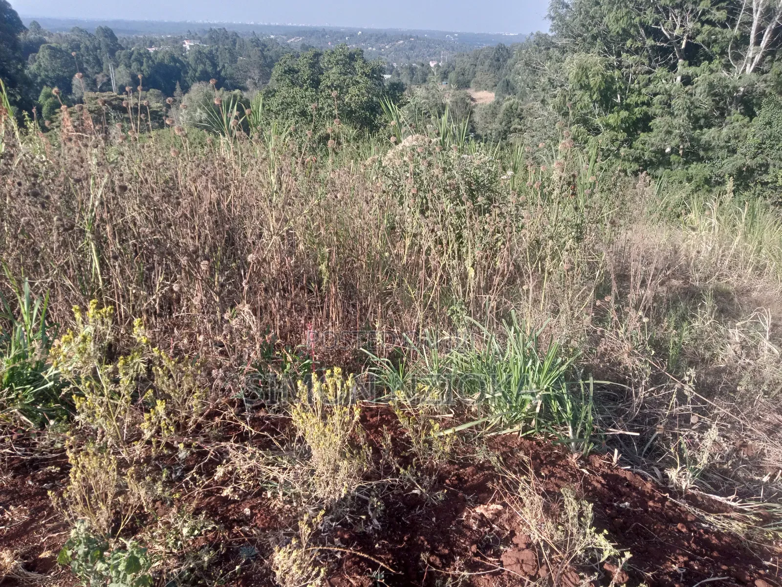 2 Acres Prime Land in Matasia, Ngong Kajiado in Matasia