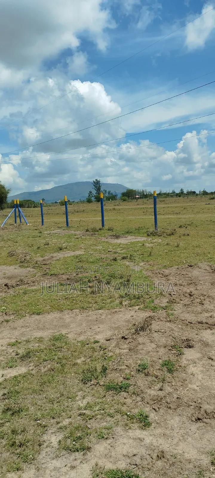 **Malaa Plots – Secure Your Piece of Prime Real Estate!** in Malaa