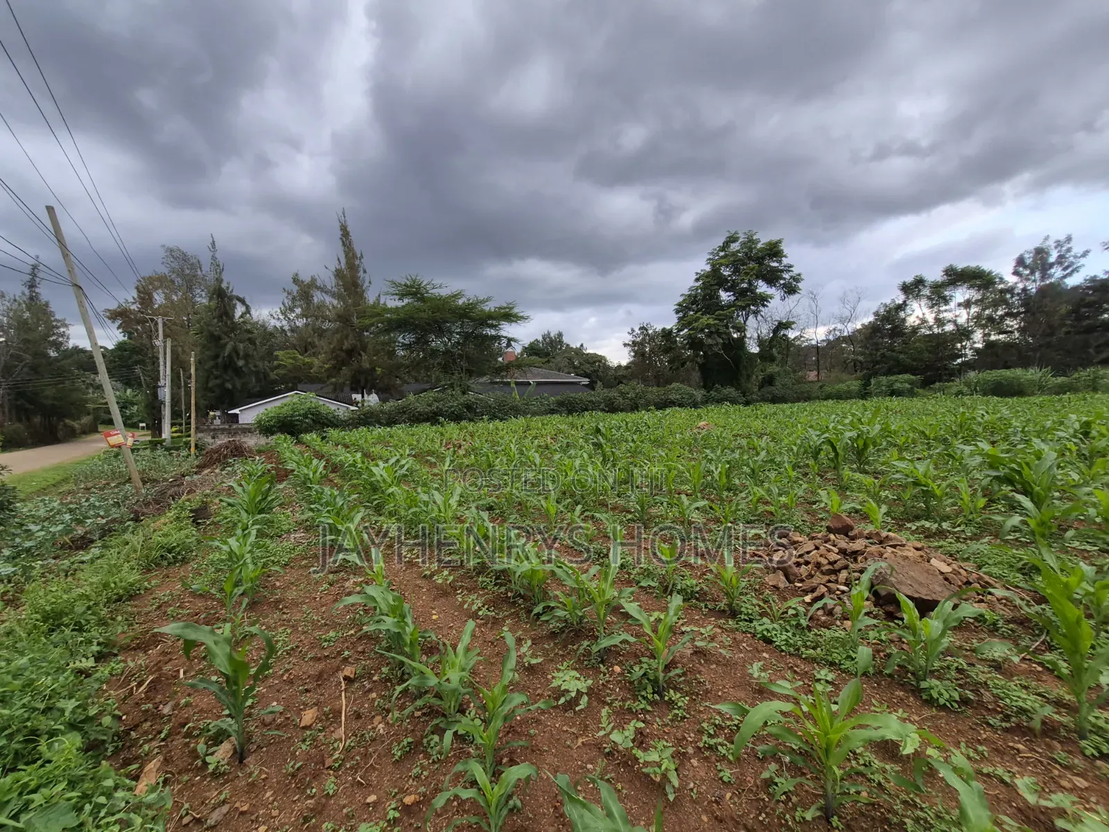 Half Acre Plot for Sale in Ridgeways,Nairobi at KSHS 45M in Ridgeways