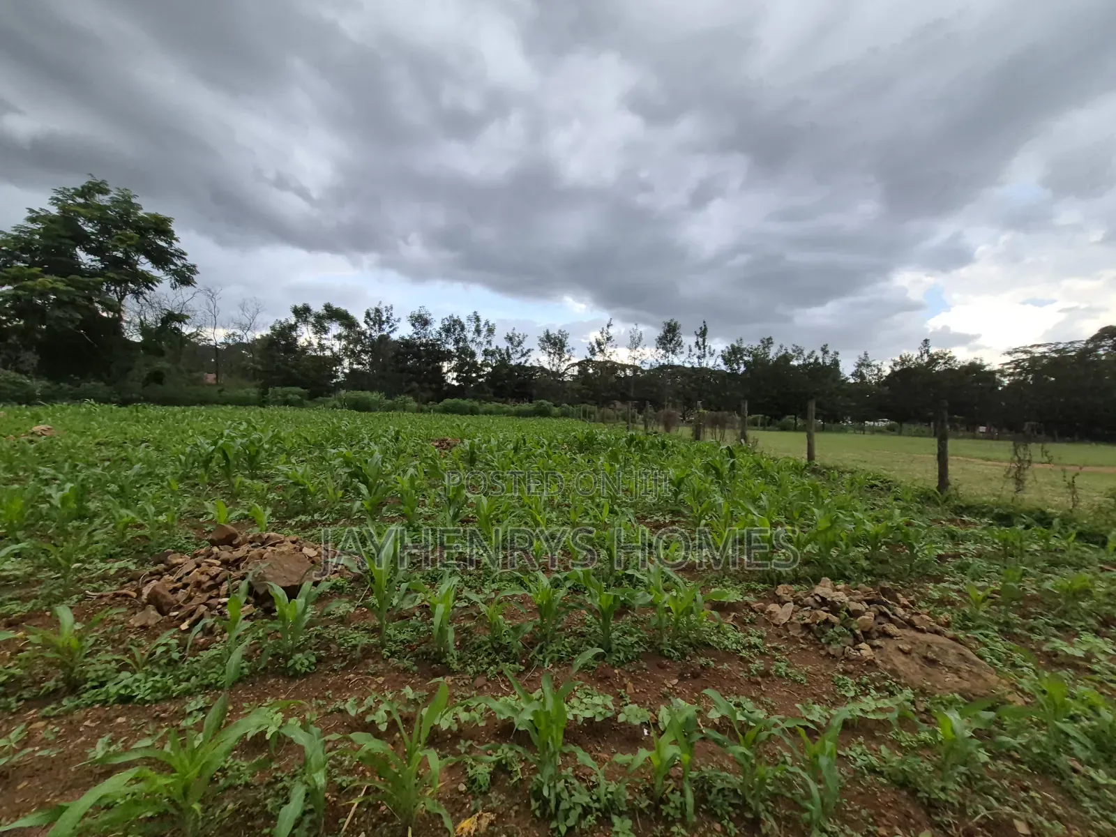 Half Acre Plot for Sale in Ridgeways,Nairobi at KSHS 45M in Ridgeways