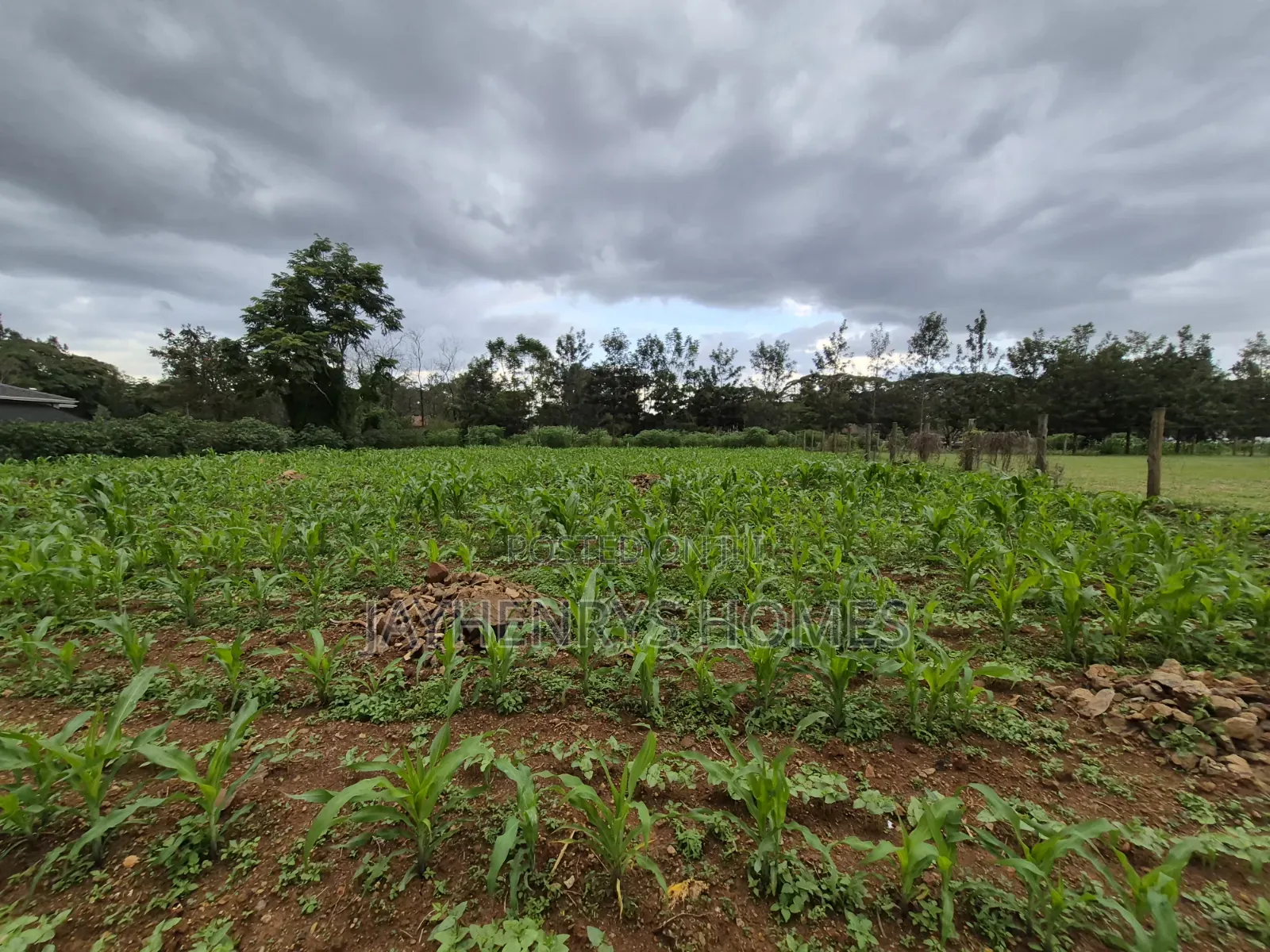 Half Acre Plot for Sale in Ridgeways,Nairobi at KSHS 45M in Ridgeways