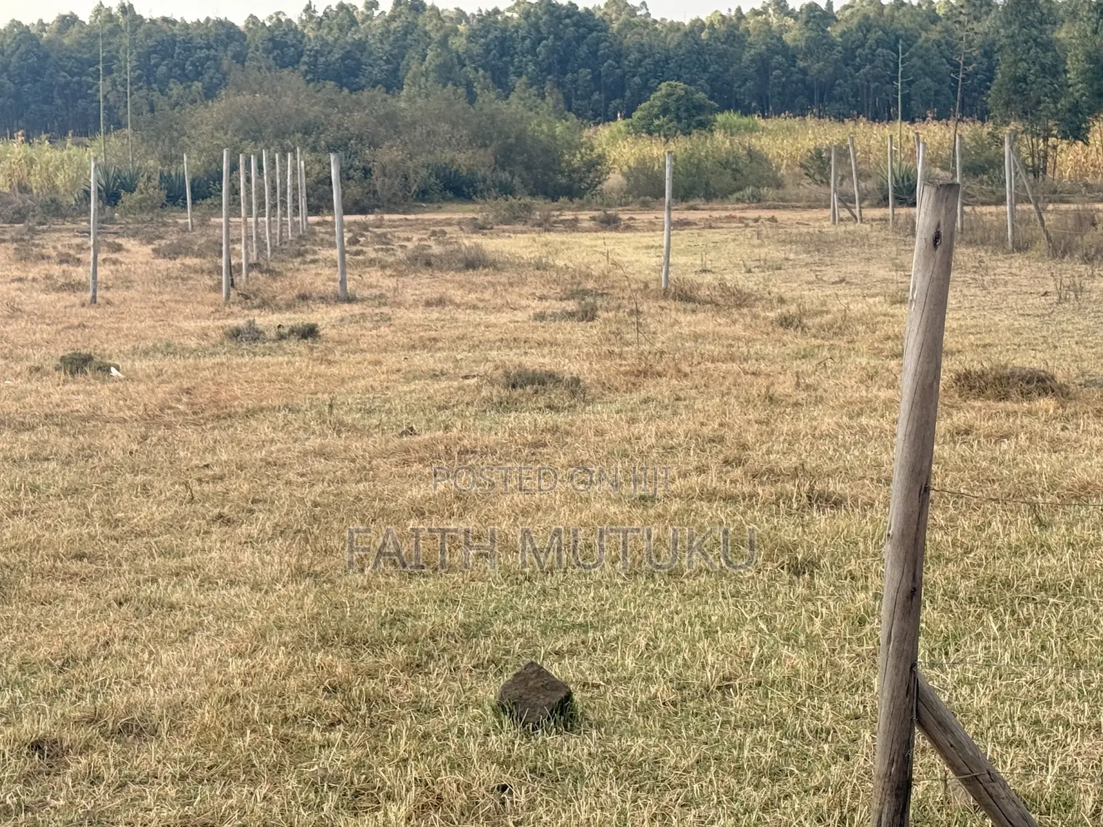 Plot(s) for Sale in Kikuyu