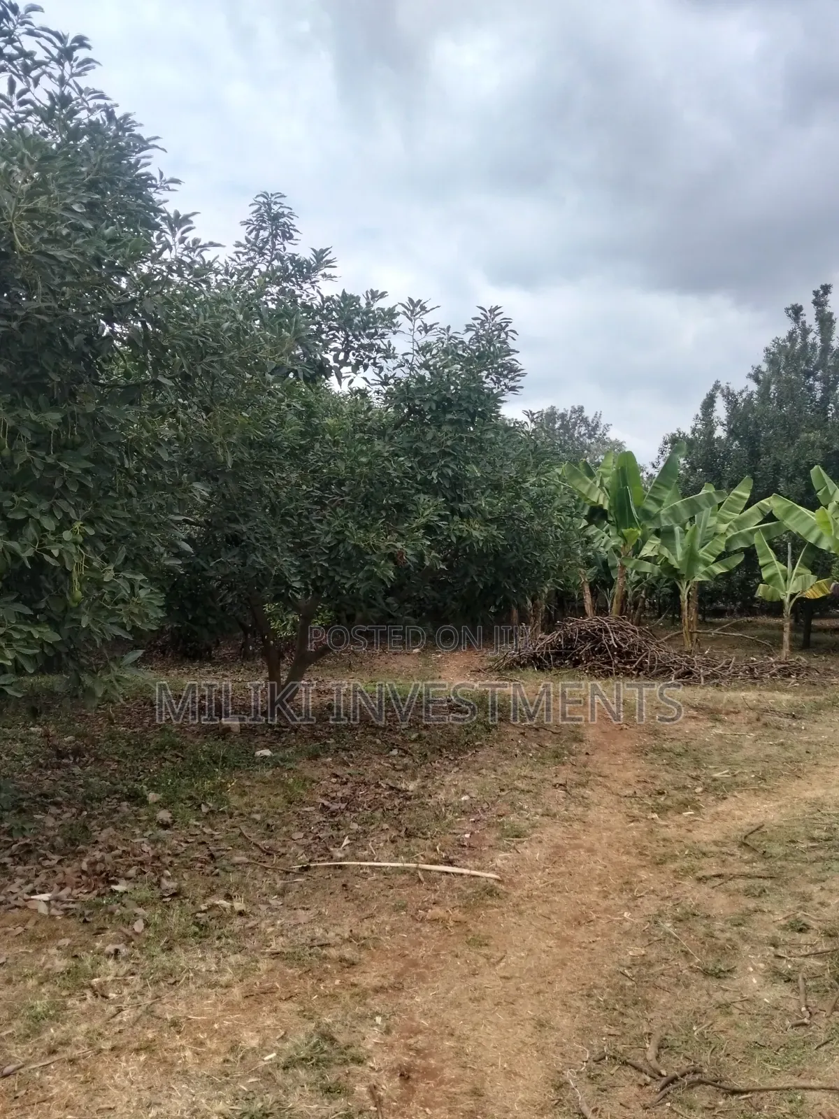 5 Acres Land on Sale at Maragua -Summary Area in Kamahuha