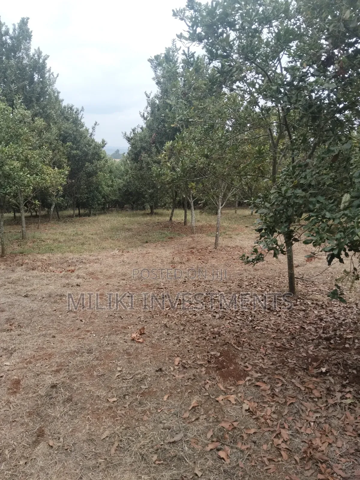5 Acres Land on Sale at Maragua -Summary Area in Kamahuha