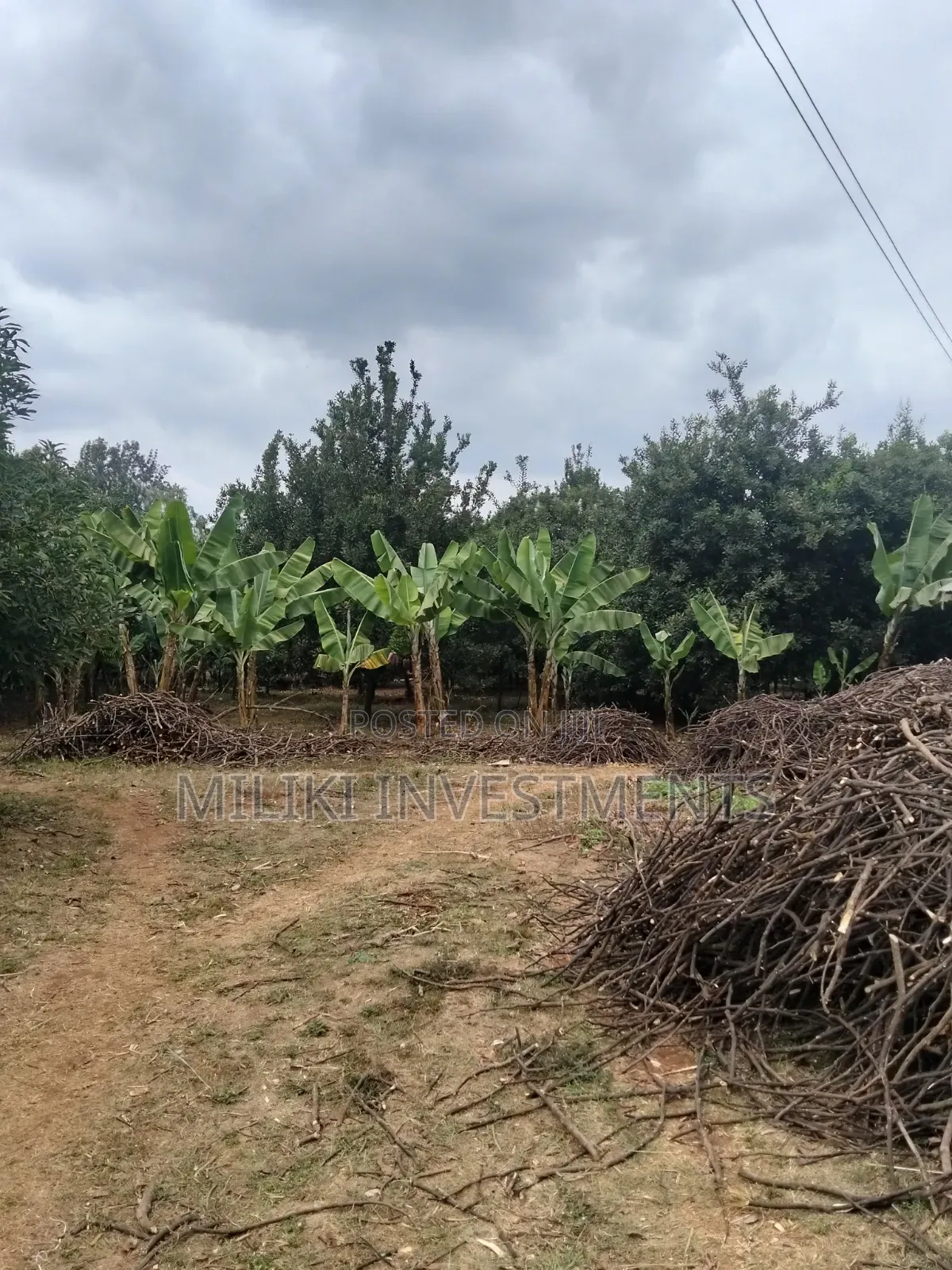 5 Acres Land on Sale at Maragua -Summary Area in Kamahuha