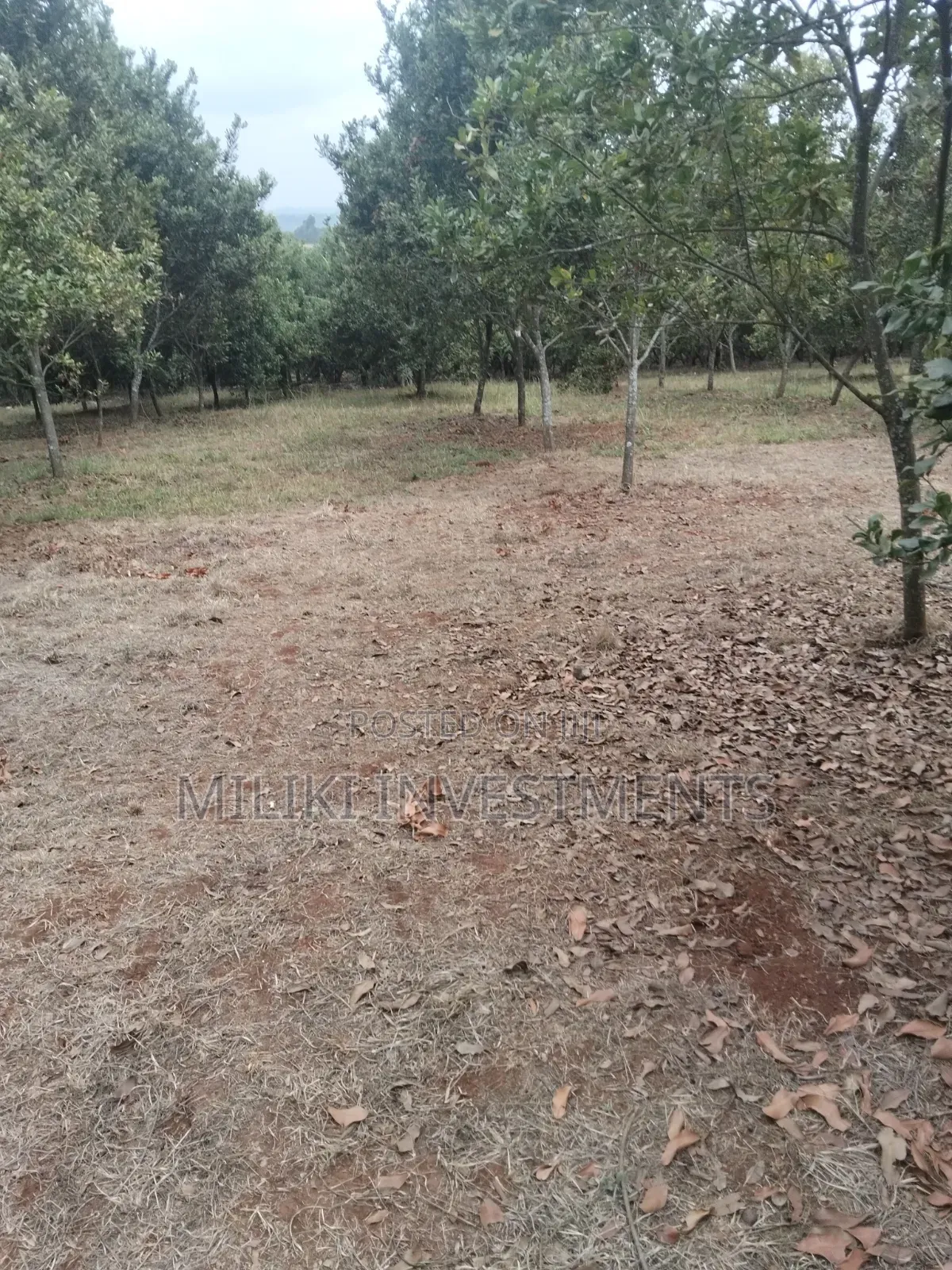 5 Acres Land on Sale at Maragua -Summary Area in Kamahuha