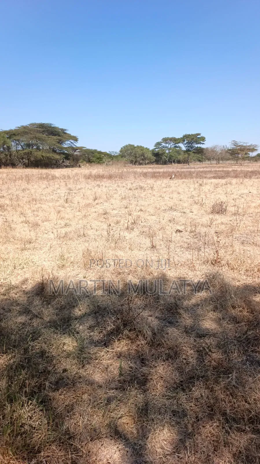 Land for Sell in Koma Hills Area