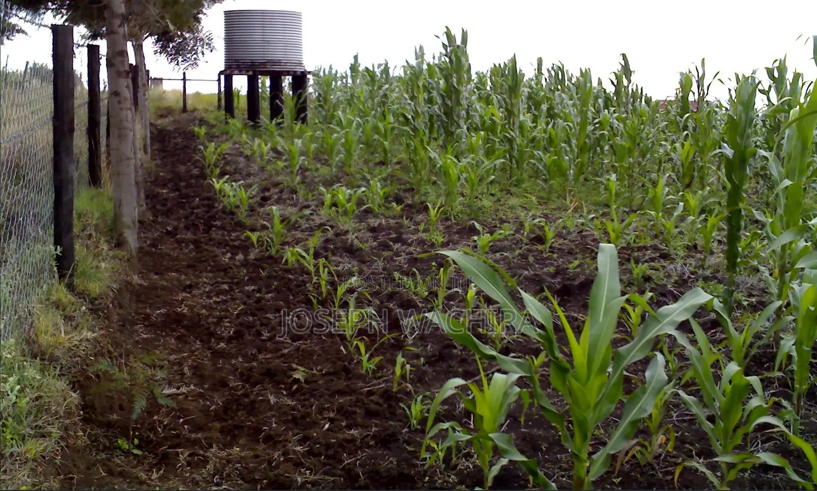 Prime Agri-Business Farmland for Sale in Watuka, Nyeri County in Gatarakwa
