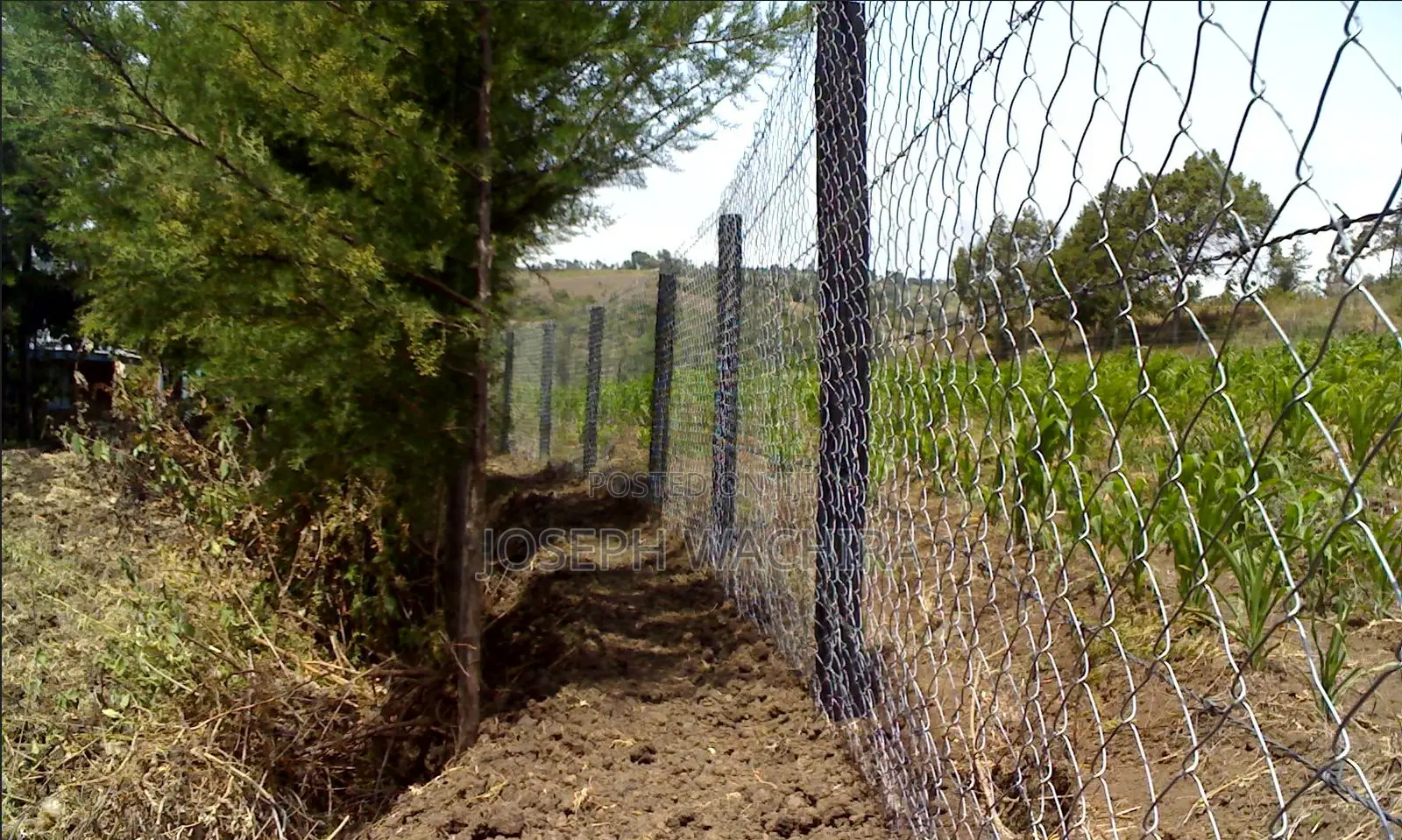Prime Agri-Business Farmland for Sale in Watuka, Nyeri County in Gatarakwa