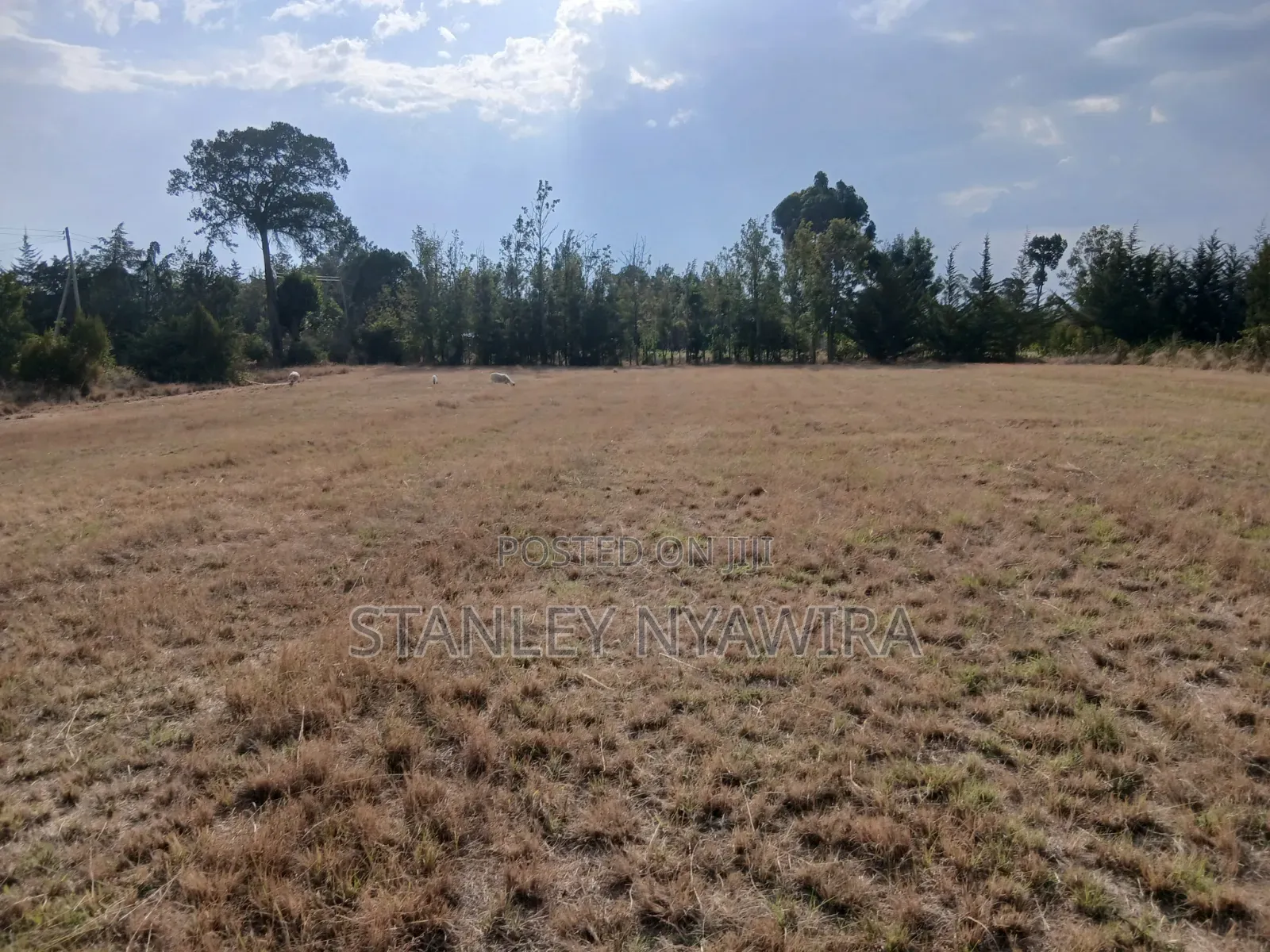 2 Acreas Nanyuki Nyeri Higway in Nanyuki