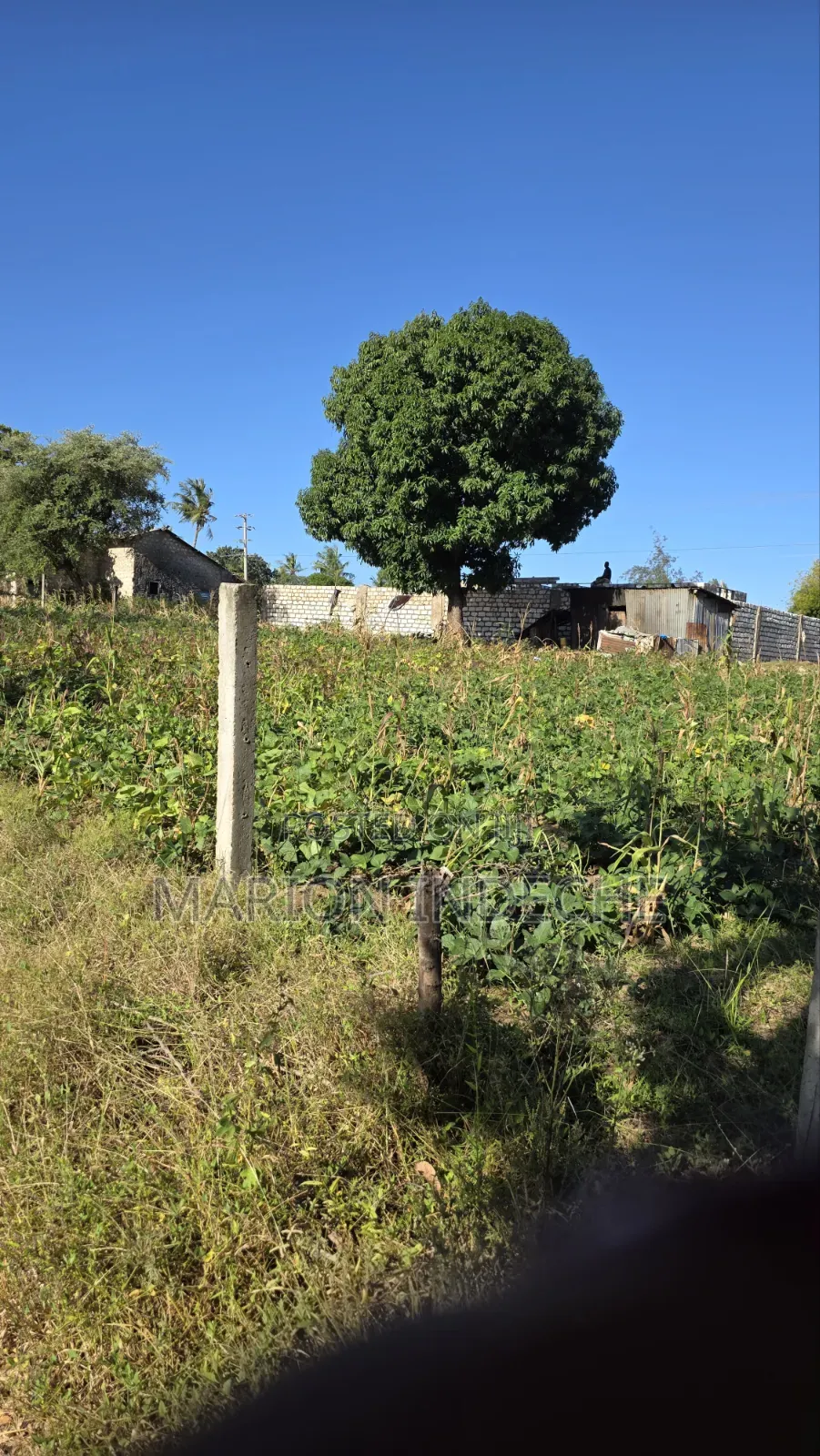 Prime 2.5acres for Sale in Kilifi Tezo Along the Highway in Kilifi Town
