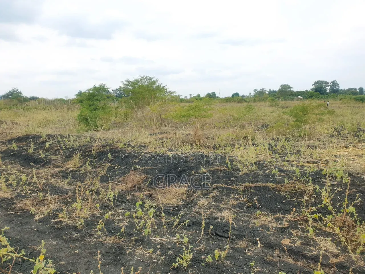 Makutano_Mwea Prime Plots in Mwea