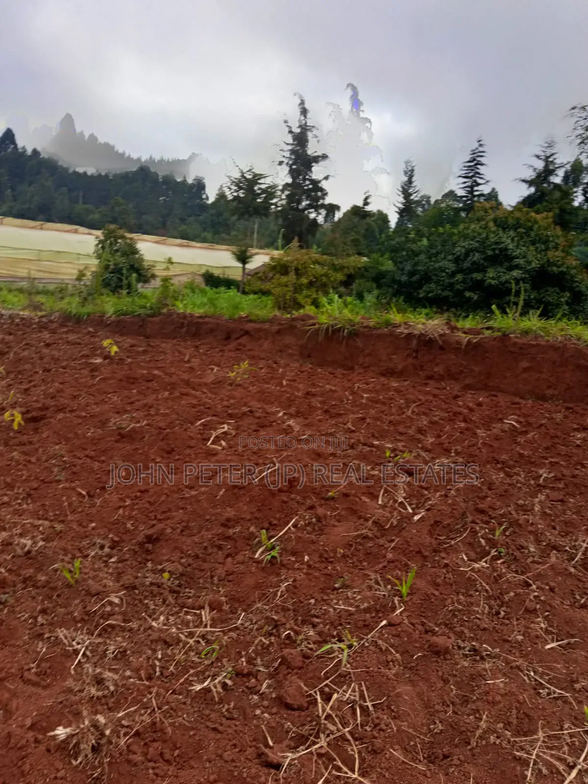 Chungamali Plots in Bibirioni
