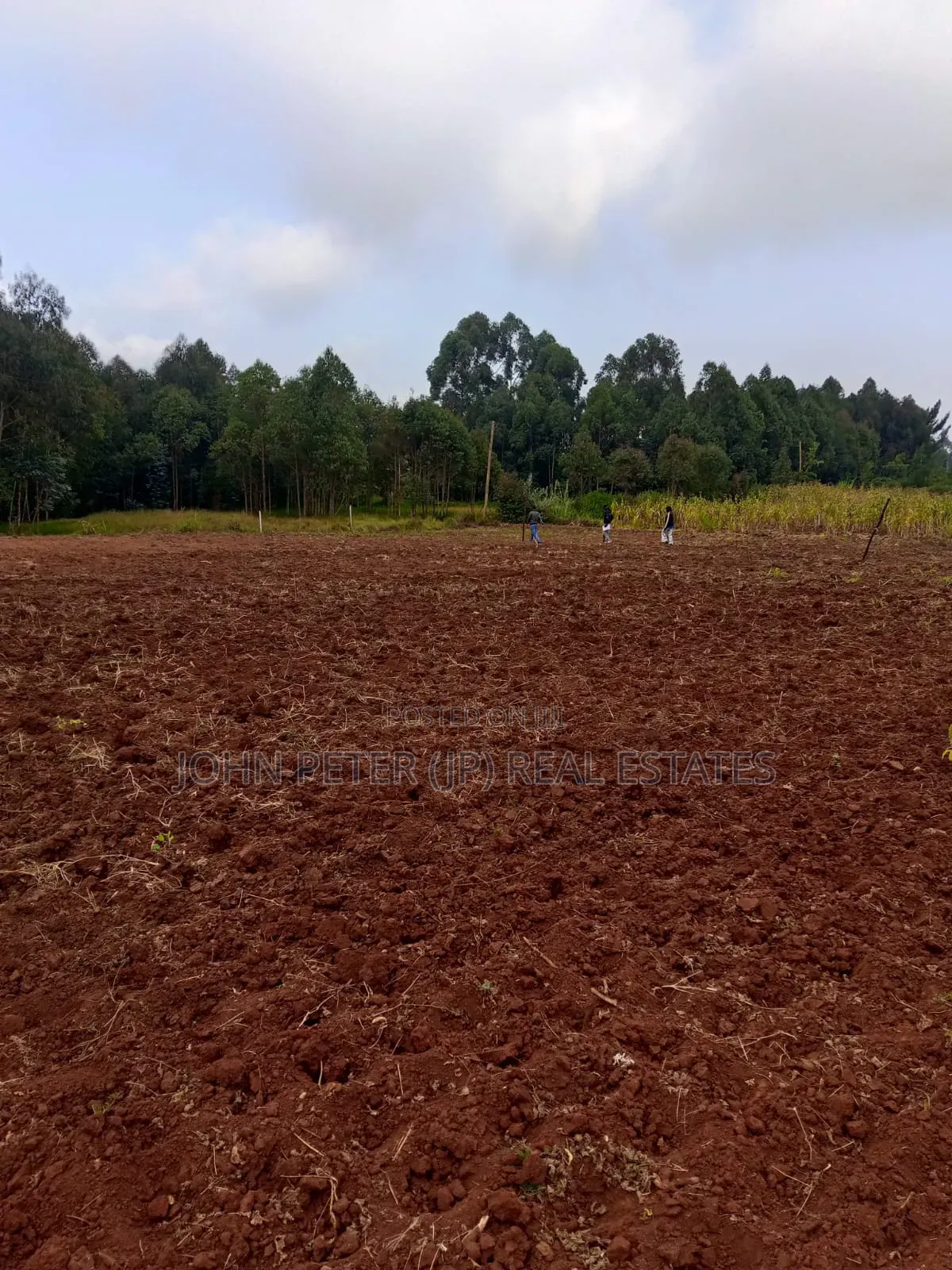 Land Deals in Bibirioni