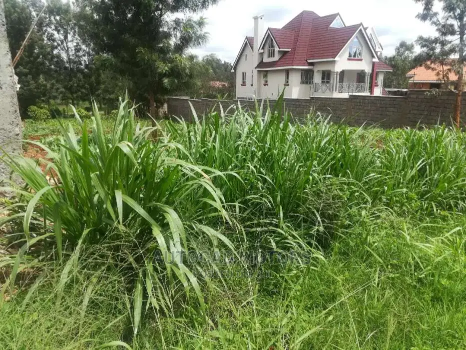Half Acre Plot for Sale in Mugumo Kiambu - Prime Location for Your Dream Home in Nairobi Central