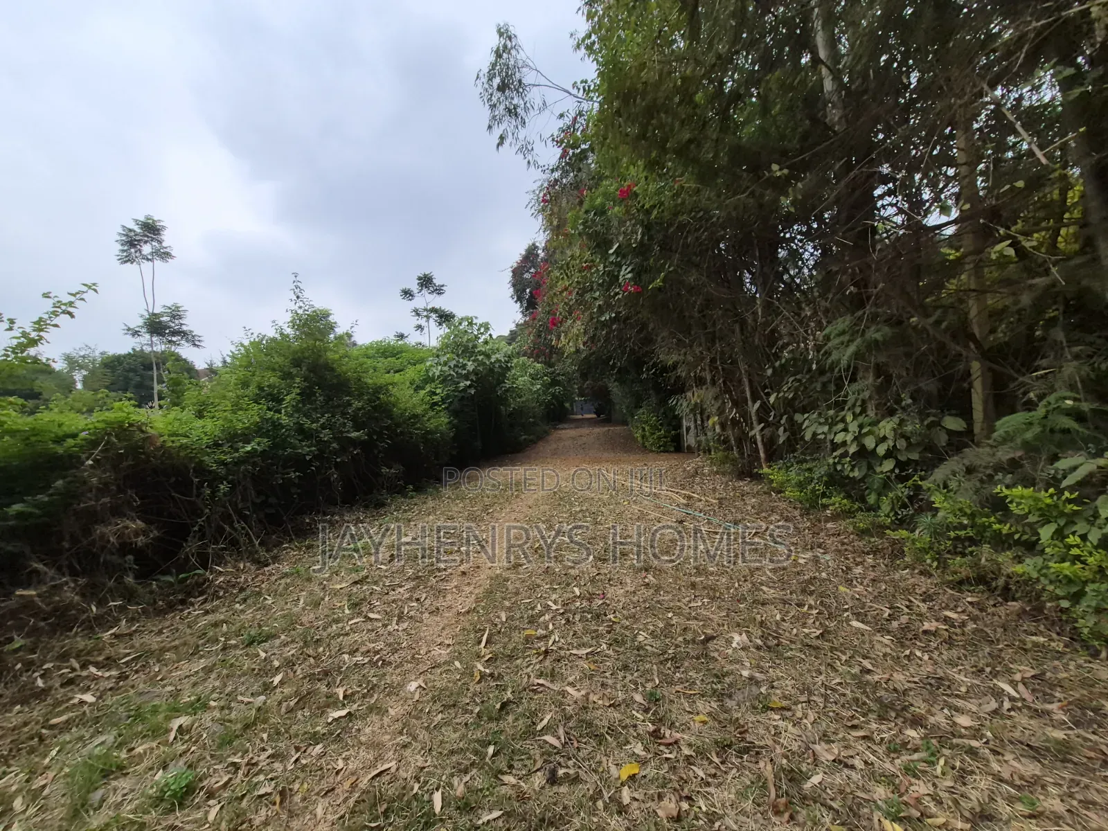 Half Acre Plot for Sale in Garden Estate at ` in Roysambu