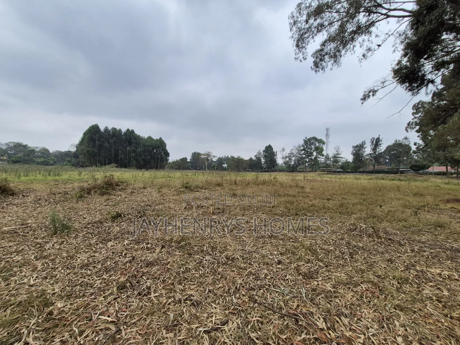 Half Acre Plot for Sale in Garden Estate at ` in Roysambu