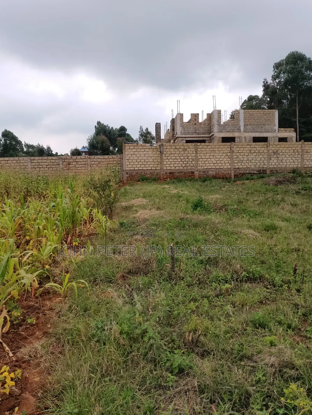 Plots for Sale in Gikambura in Thogoto