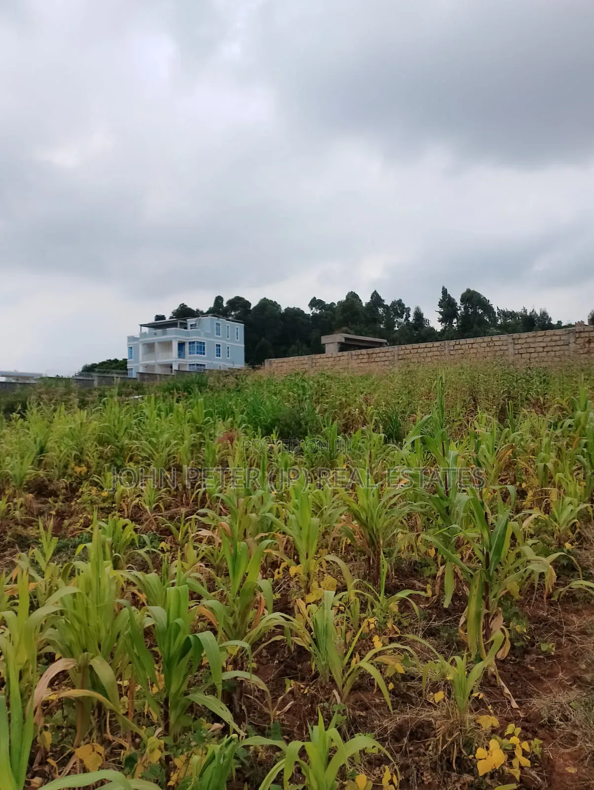 Plots for Sale in Gikambura in Thogoto