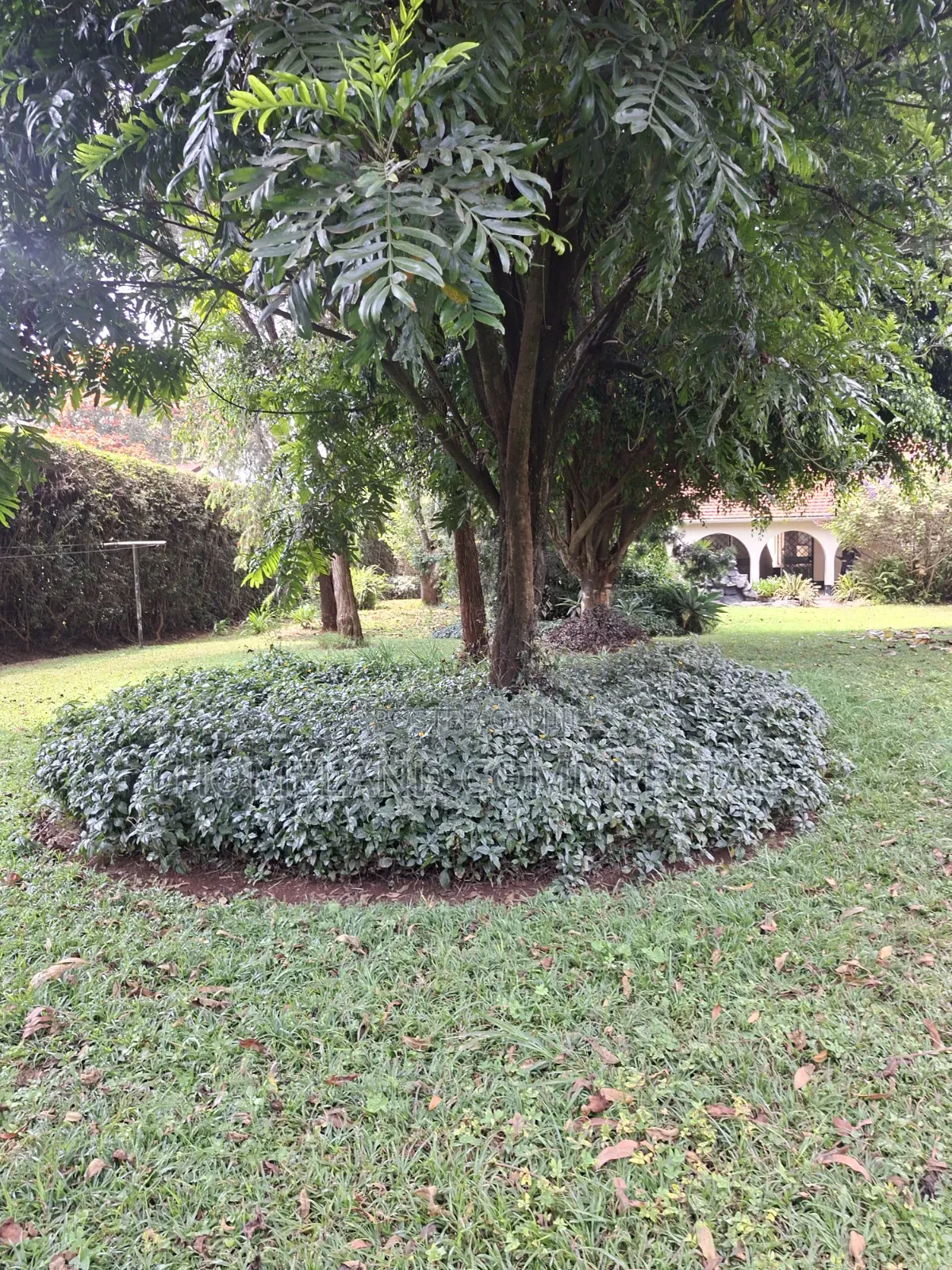 3bdrm House in Loresho for rent in Loresho