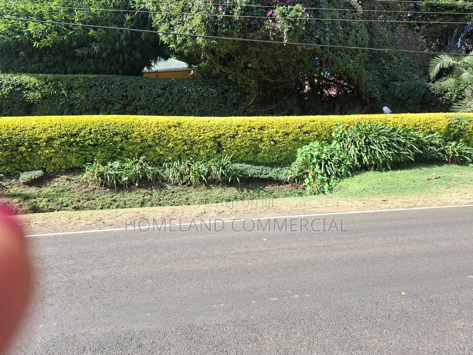 10 Acres Land for Sale in Tigoni in Tigoni