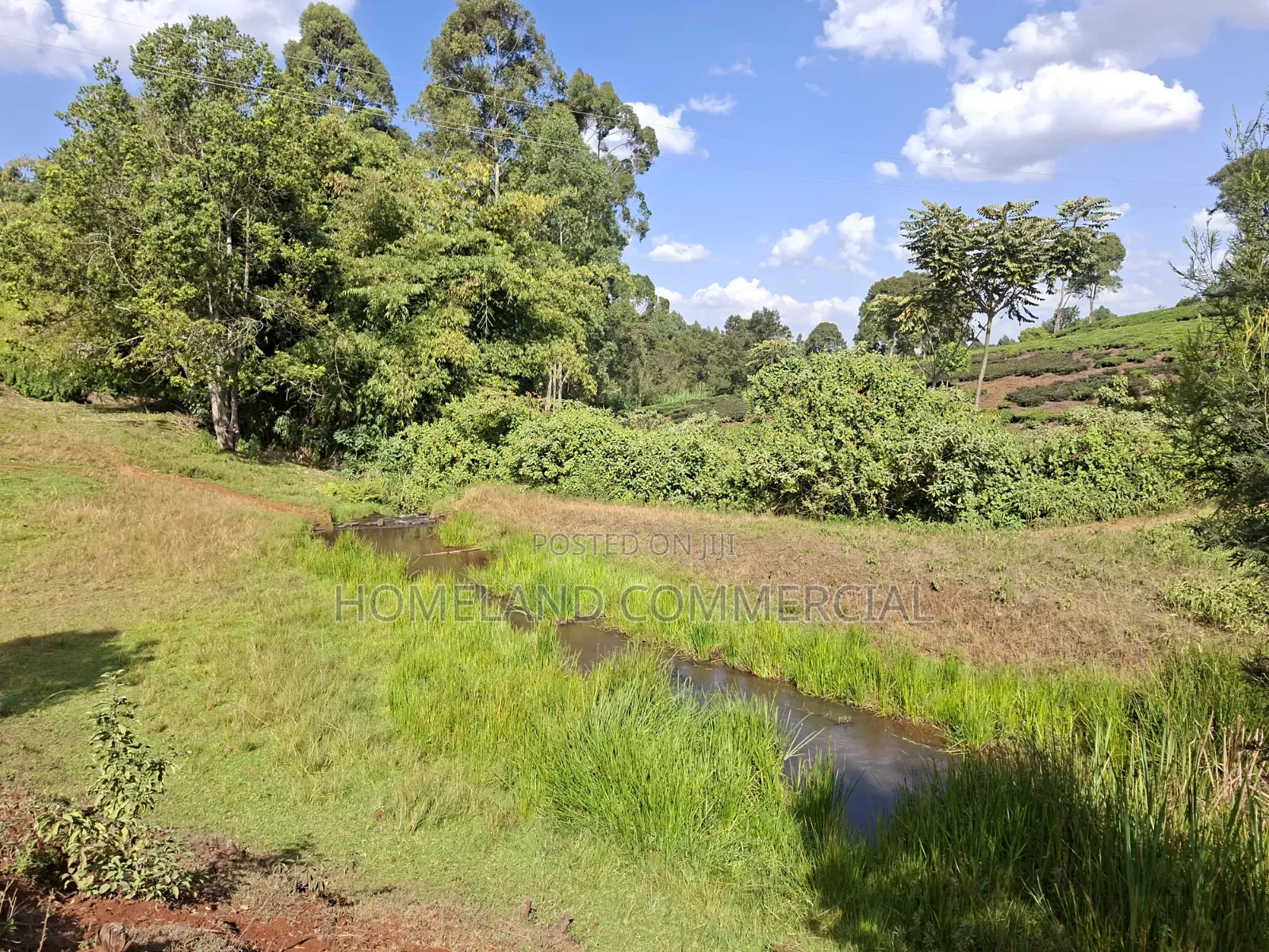 10 Acres Land for Sale in Tigoni in Tigoni
