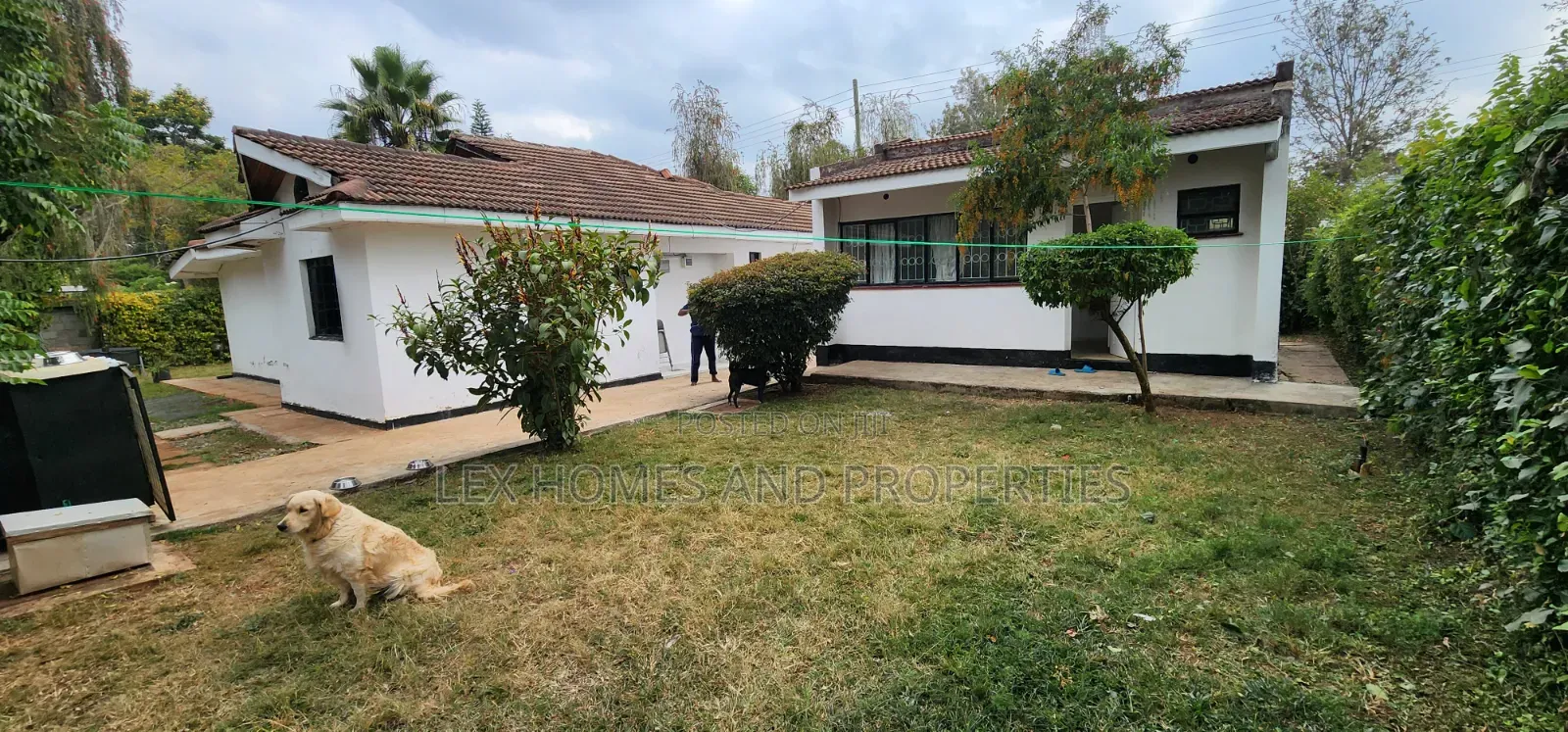 Furnished 1bdrm Bungalow in Hardy for rent in Hardy