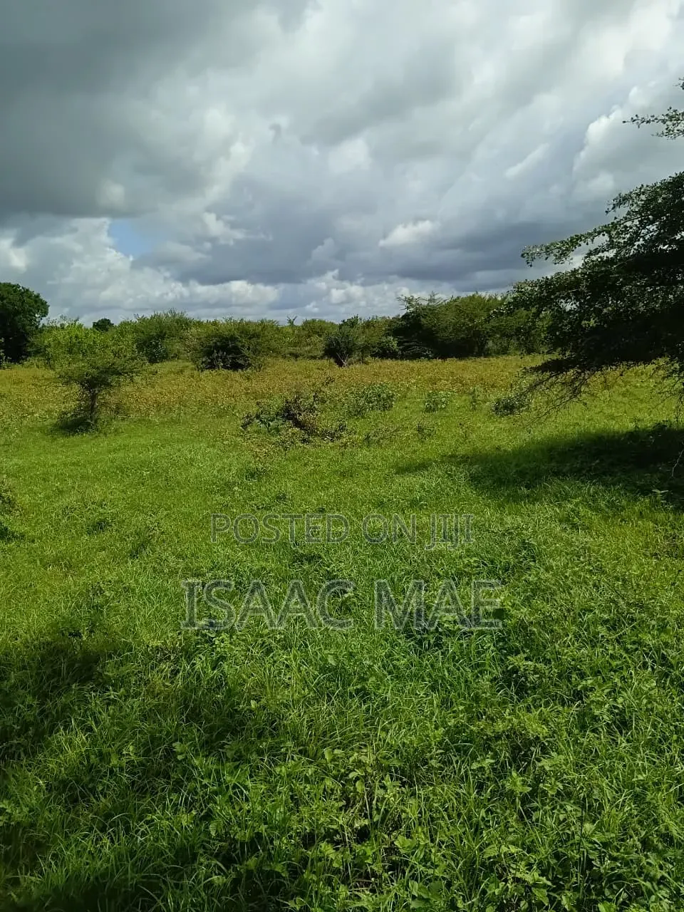 3 Acres for Sale at Malind Sosobora Area Per Acre in Jilore