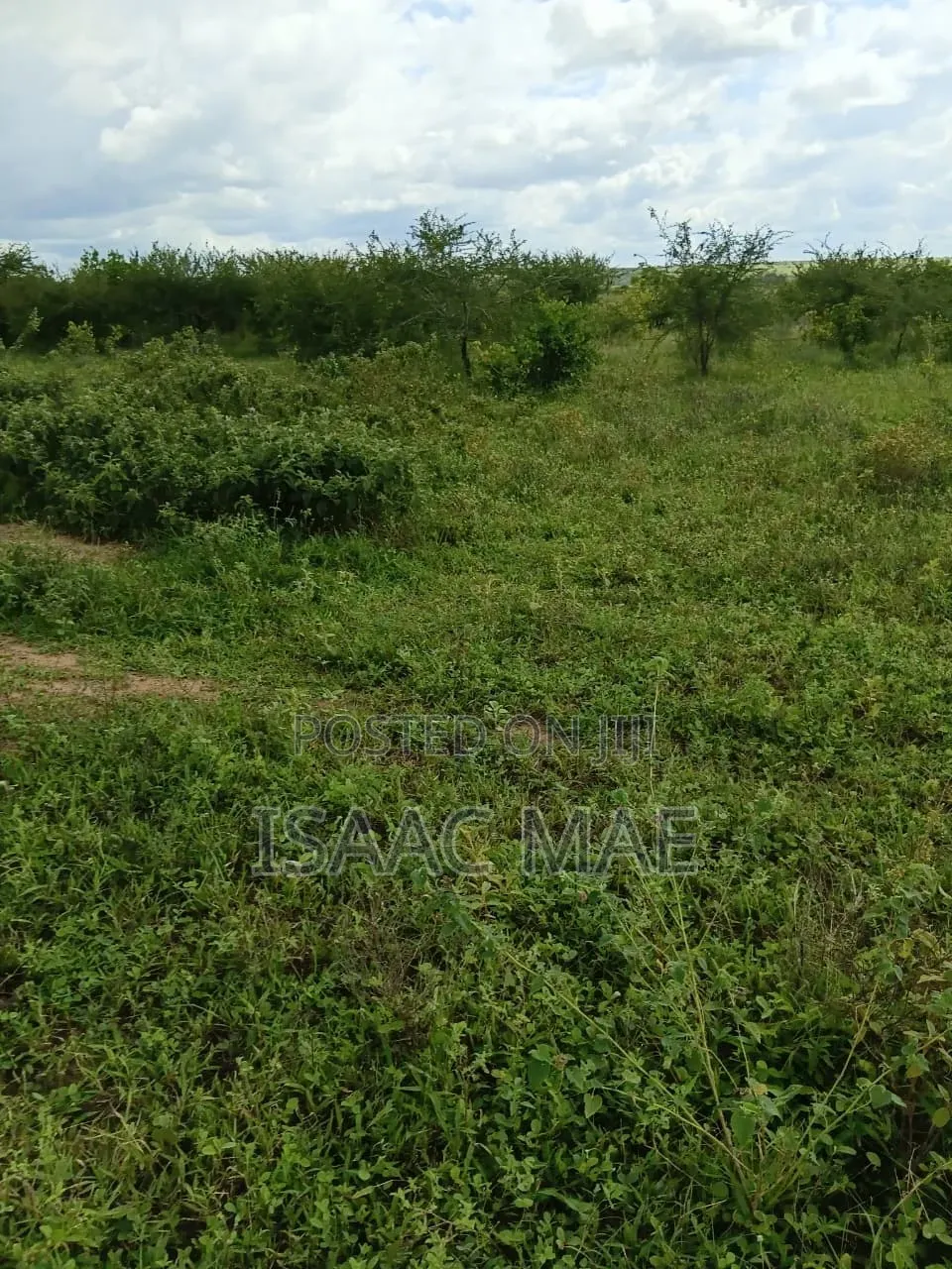 3 Acres for Sale at Malind Sosobora Area Per Acre in Jilore