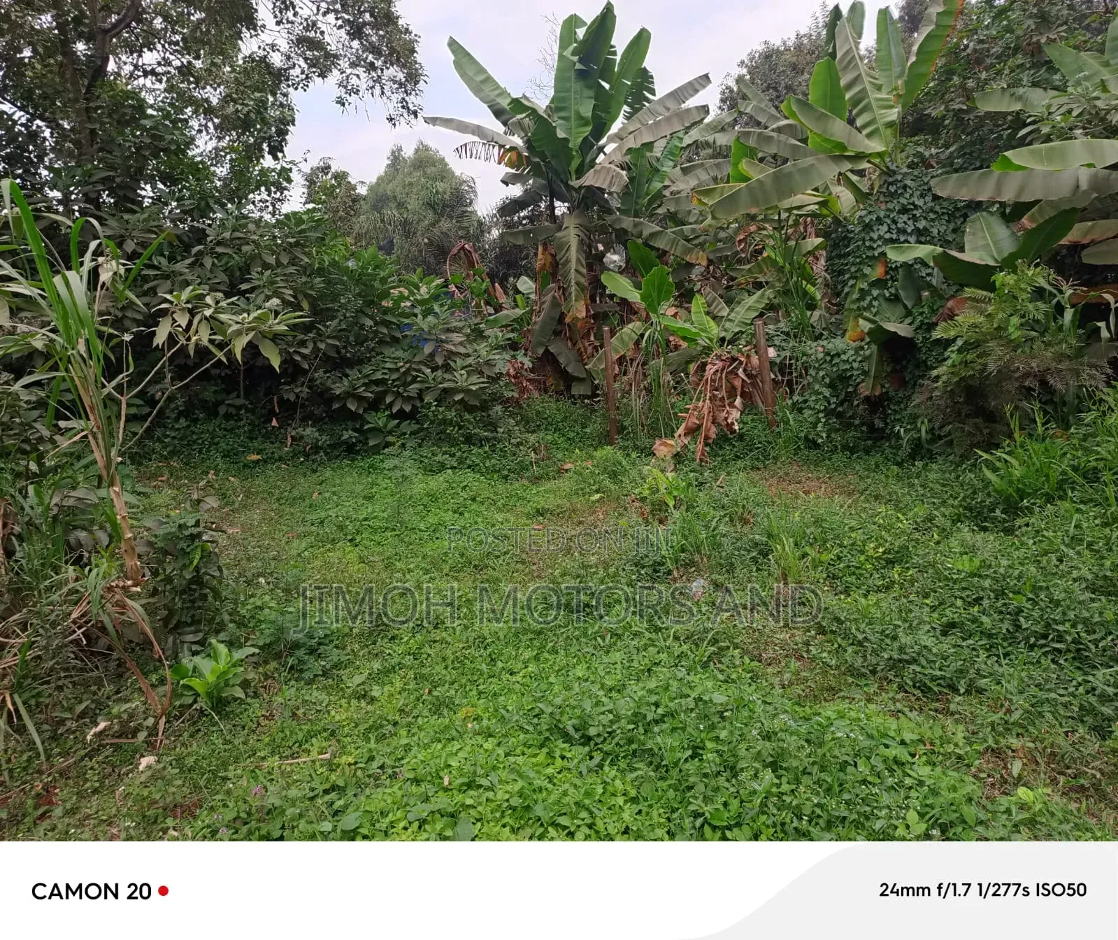 Land for Sale in Gachie in Gachie