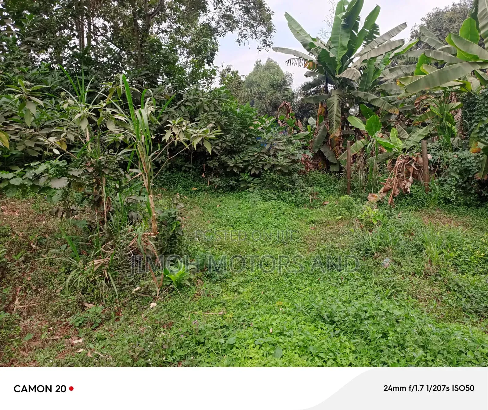 Land for Sale in Gachie in Gachie