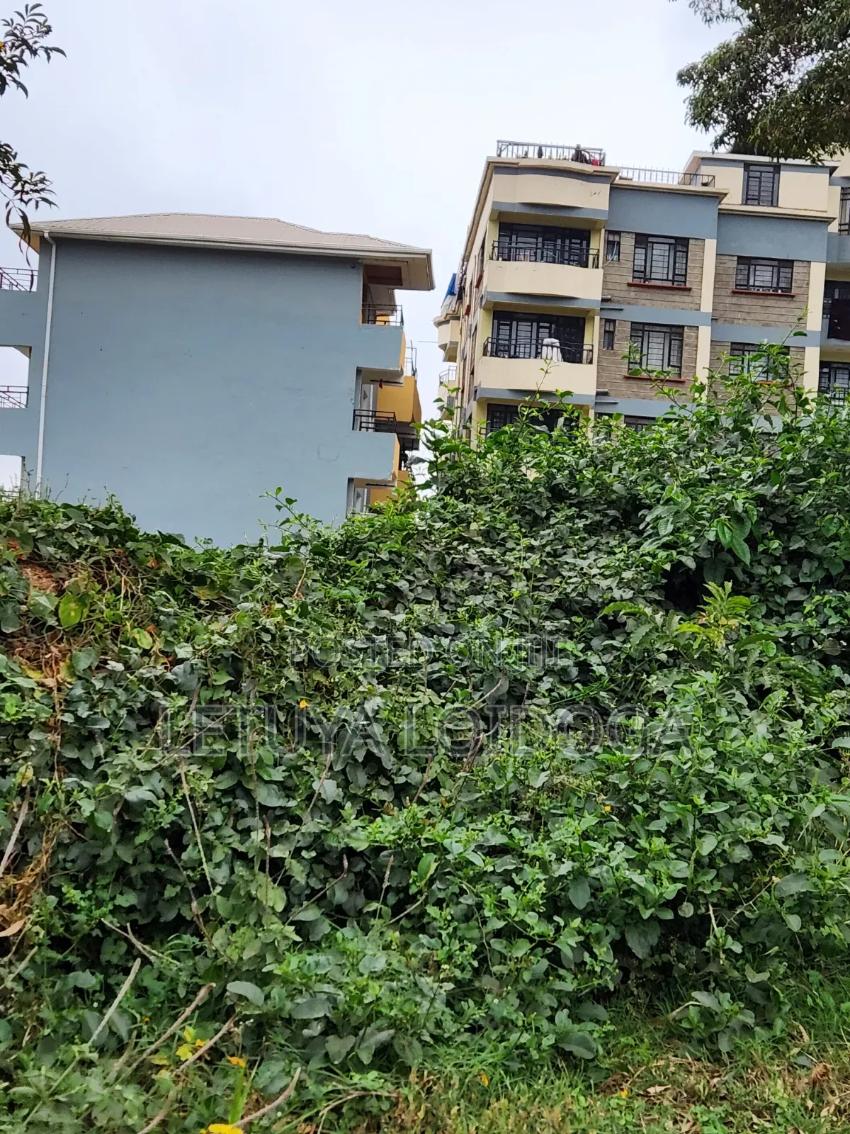 Very Prime 1⁄4 Acre Ngong [PEC House] in Kibiku