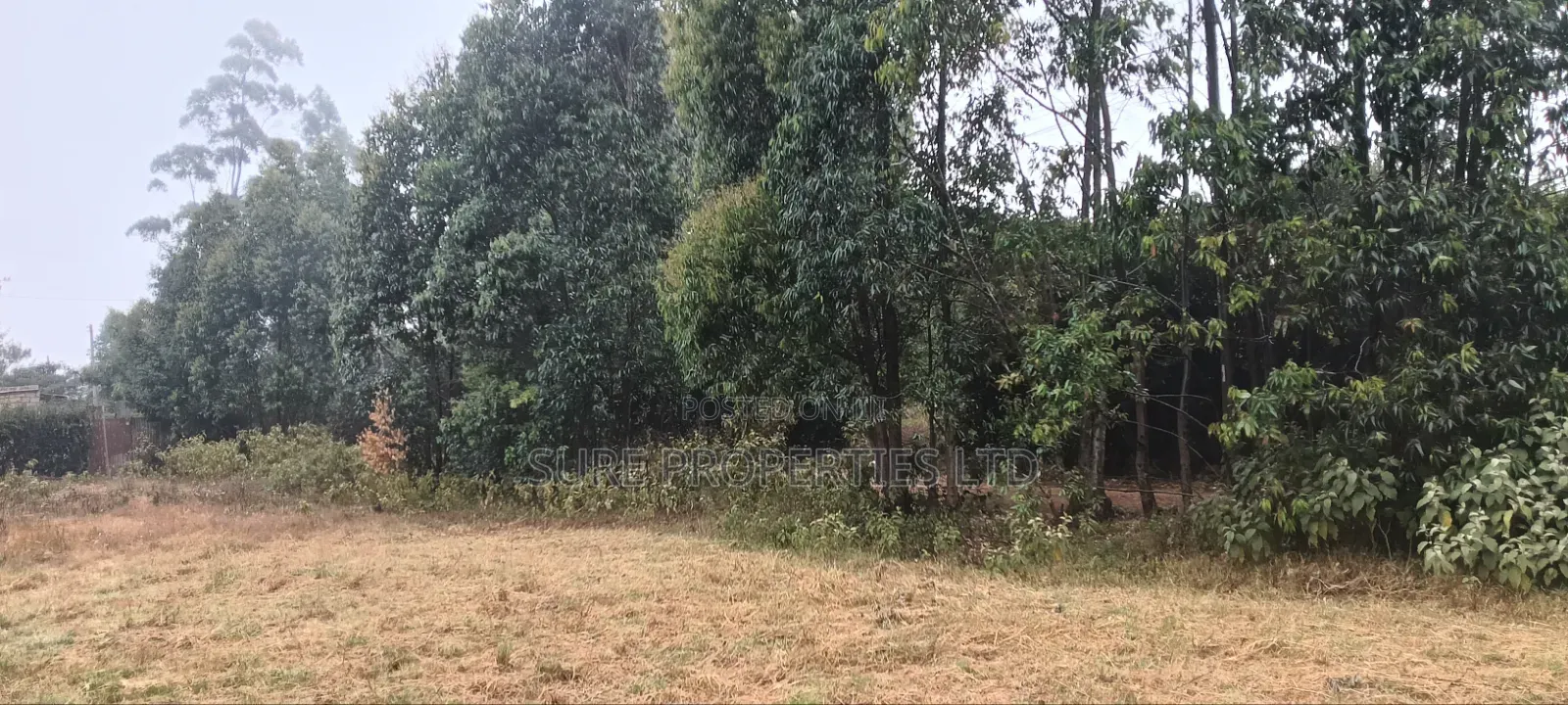 50x100 Plot in Thigio, Lusingetti in Kikuyu