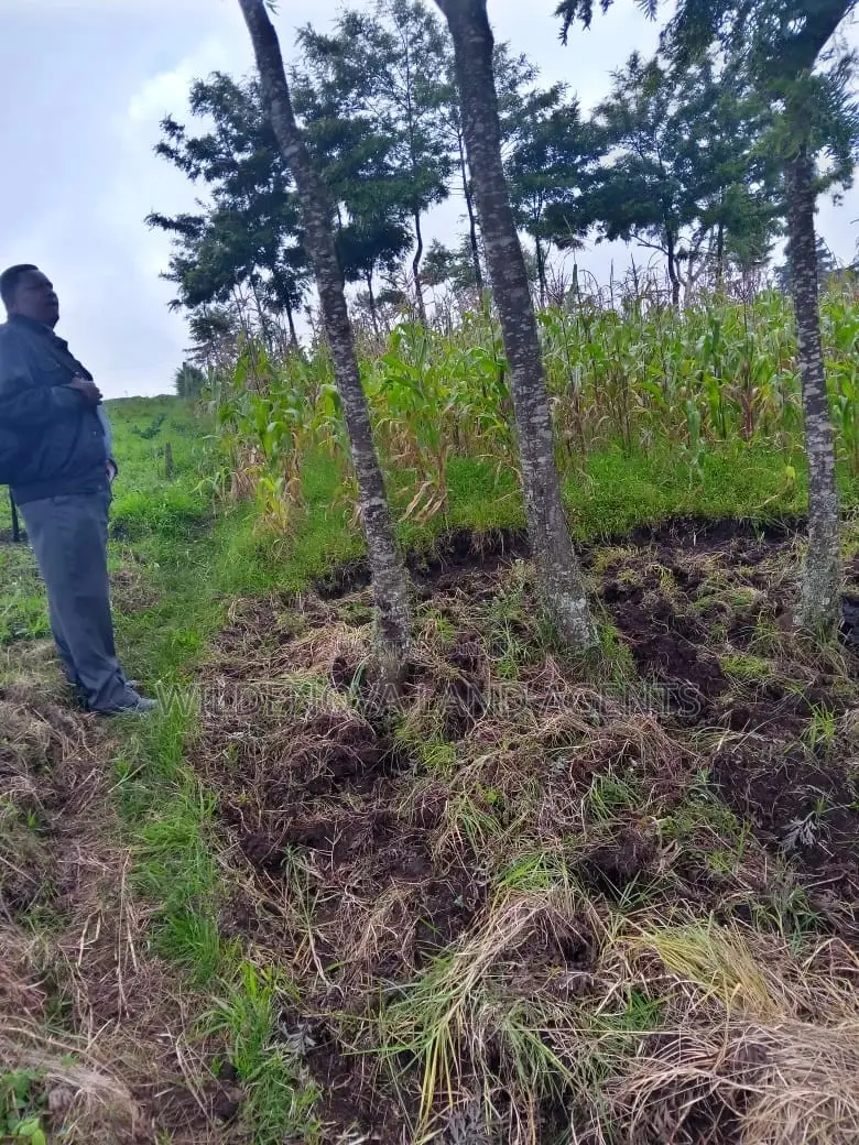 1-Acre Land in Flyover Magumu Kinangop: Buy Now in Magumu