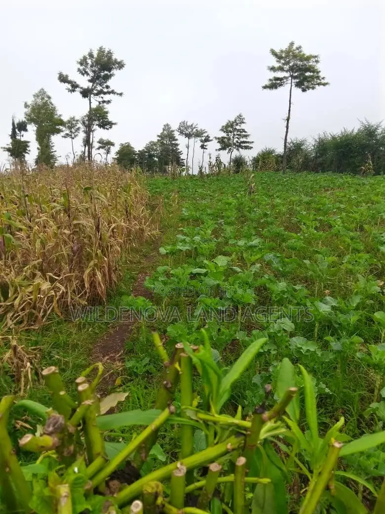 1-Acre Land in Flyover Magumu Kinangop: Buy Now in Magumu