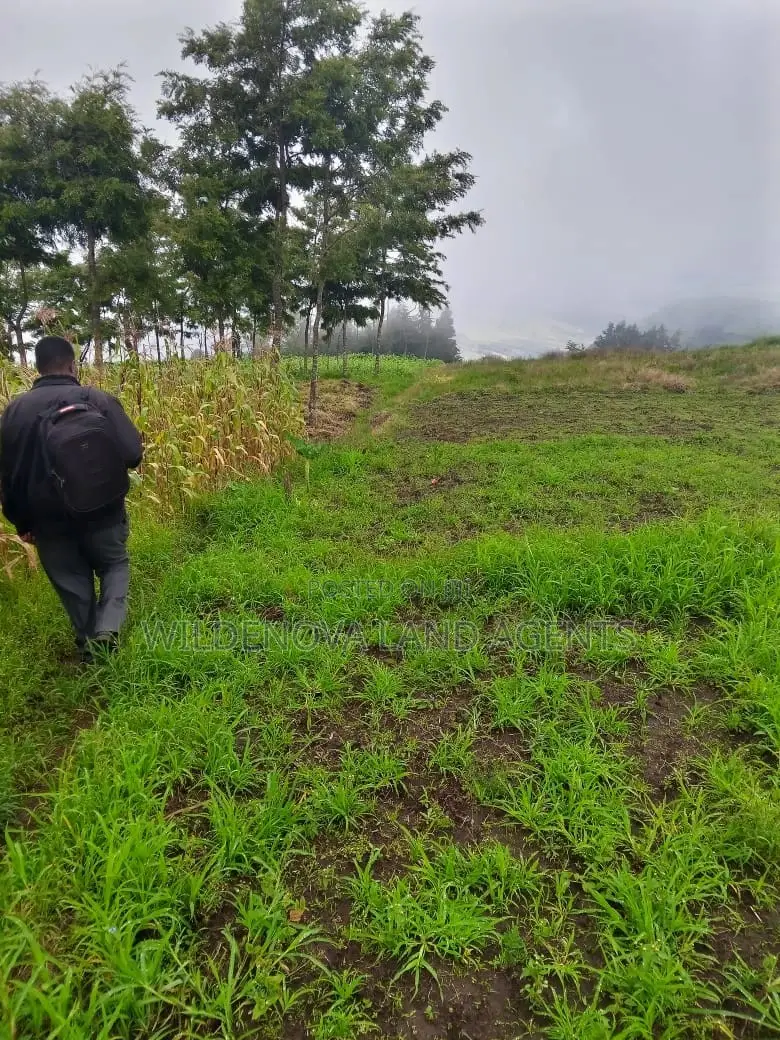 1-Acre Land in Flyover Magumu Kinangop: Buy Now in Magumu