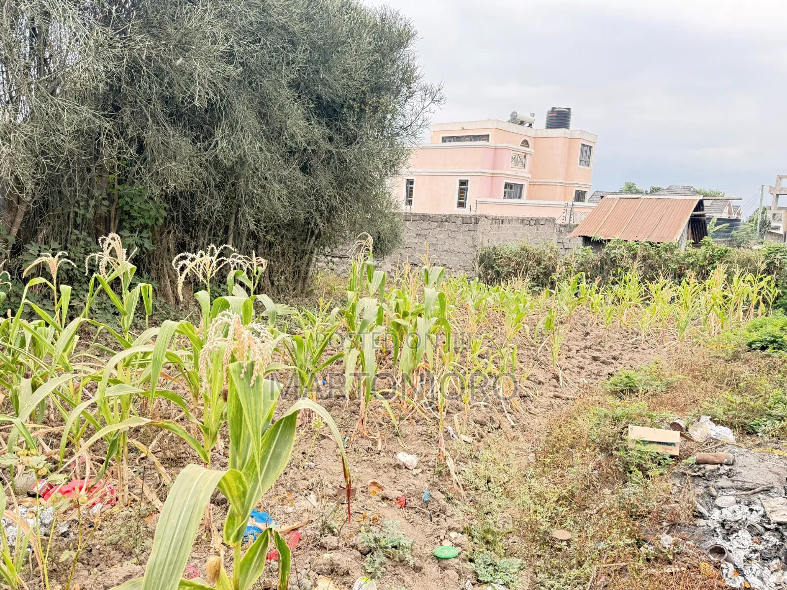 1/4 Acre Ruai in Ruai