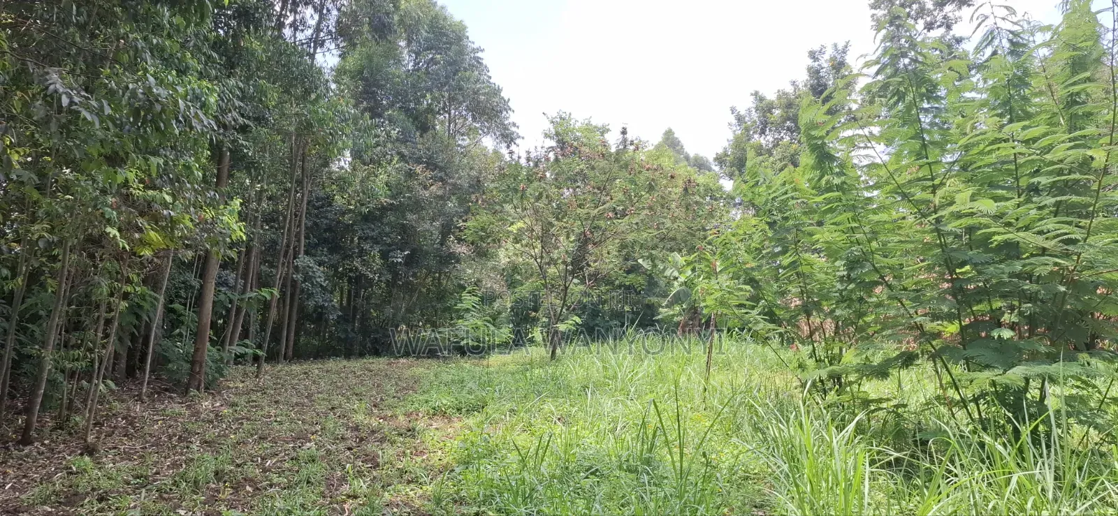50 by 100 Joyland Webuye in Webuye