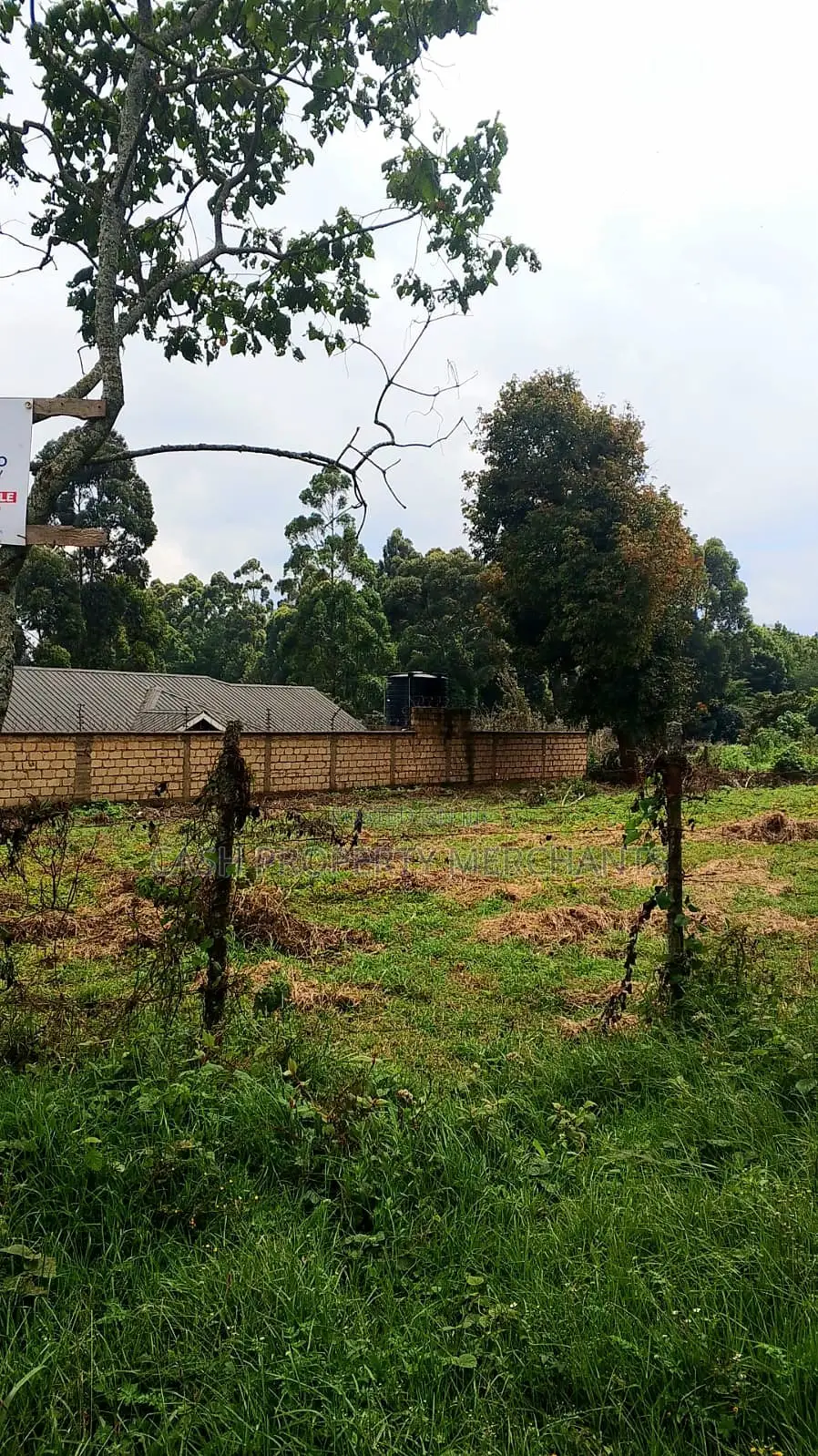 1/4 Acre Residential Property – Tilisi, Limuru in Limuru CBD