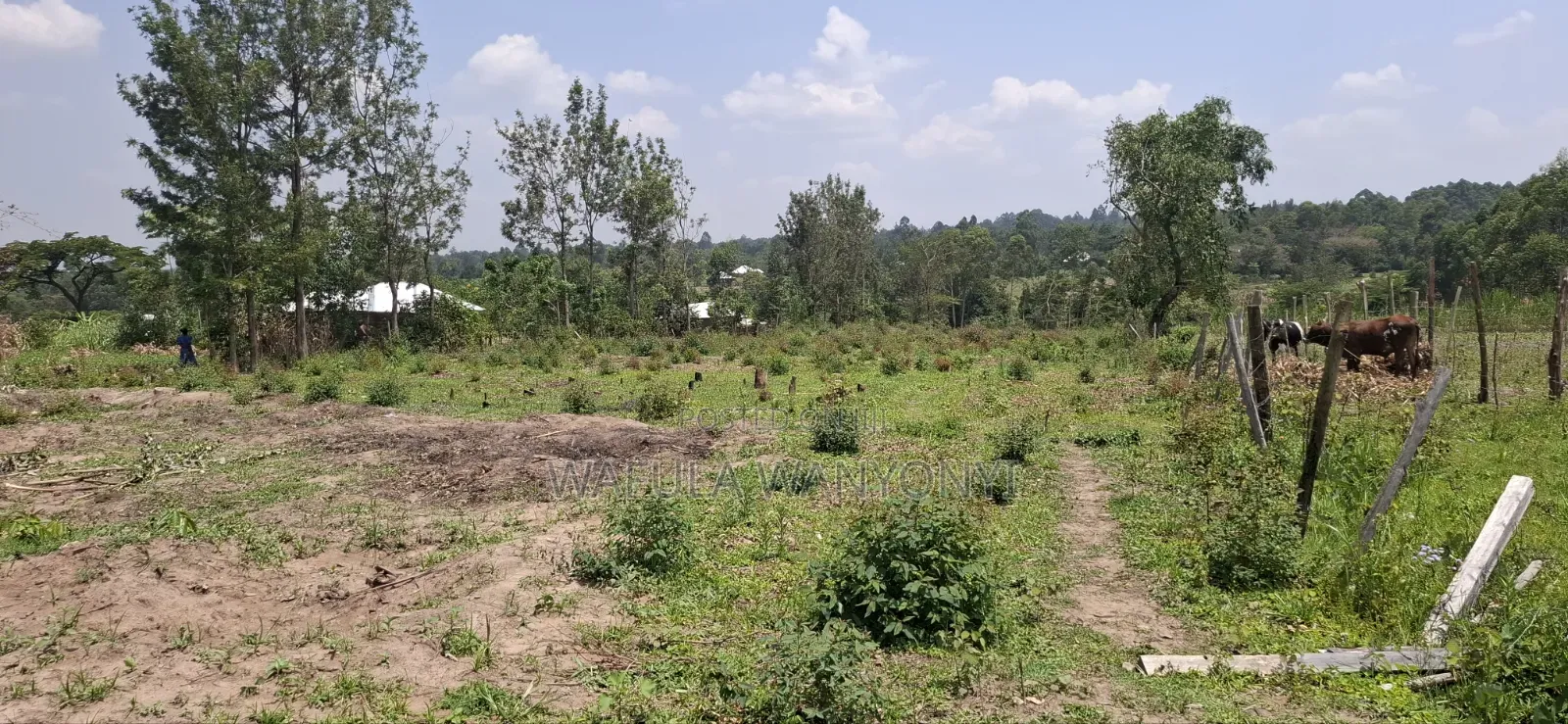 1 Acre Half MUSOKHO in Kabuchai/Chwele