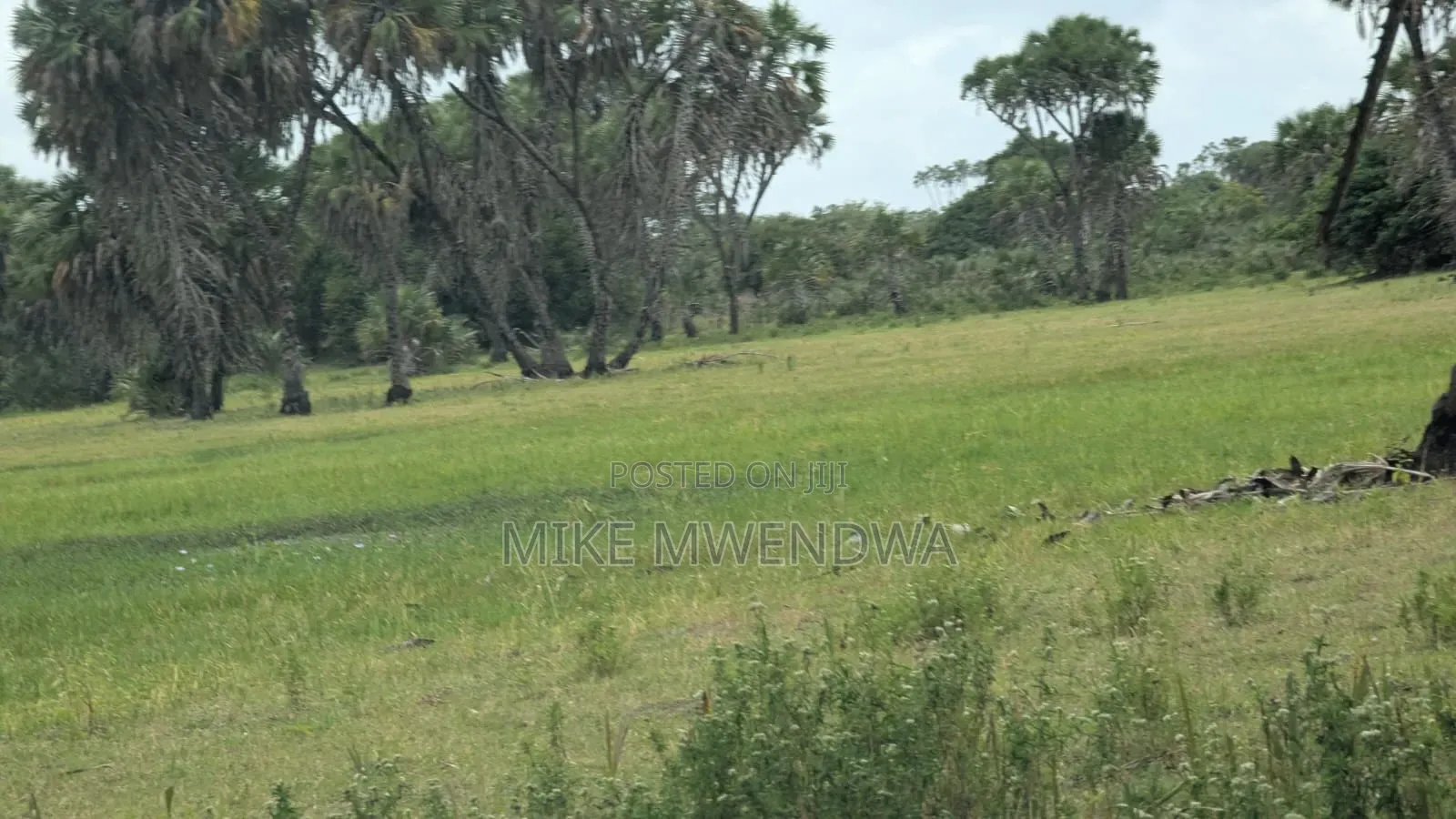 Land and Plots in Watamu