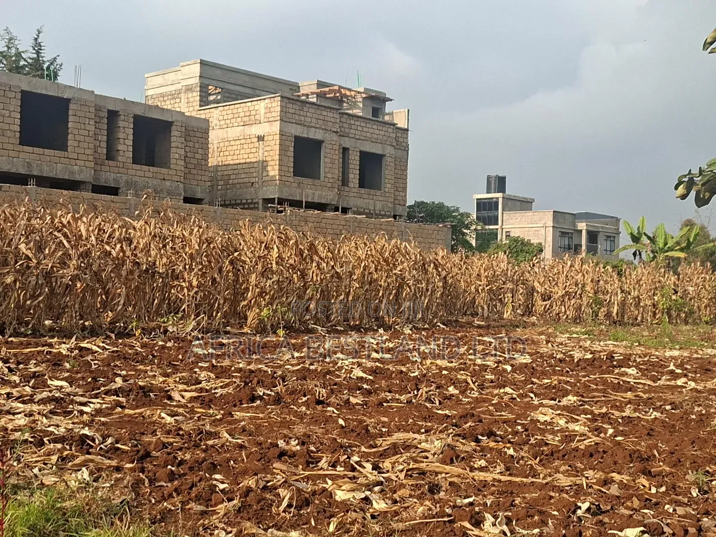 100x100 Available Plot for Sale in Kikuyu Thogoto in Thogoto