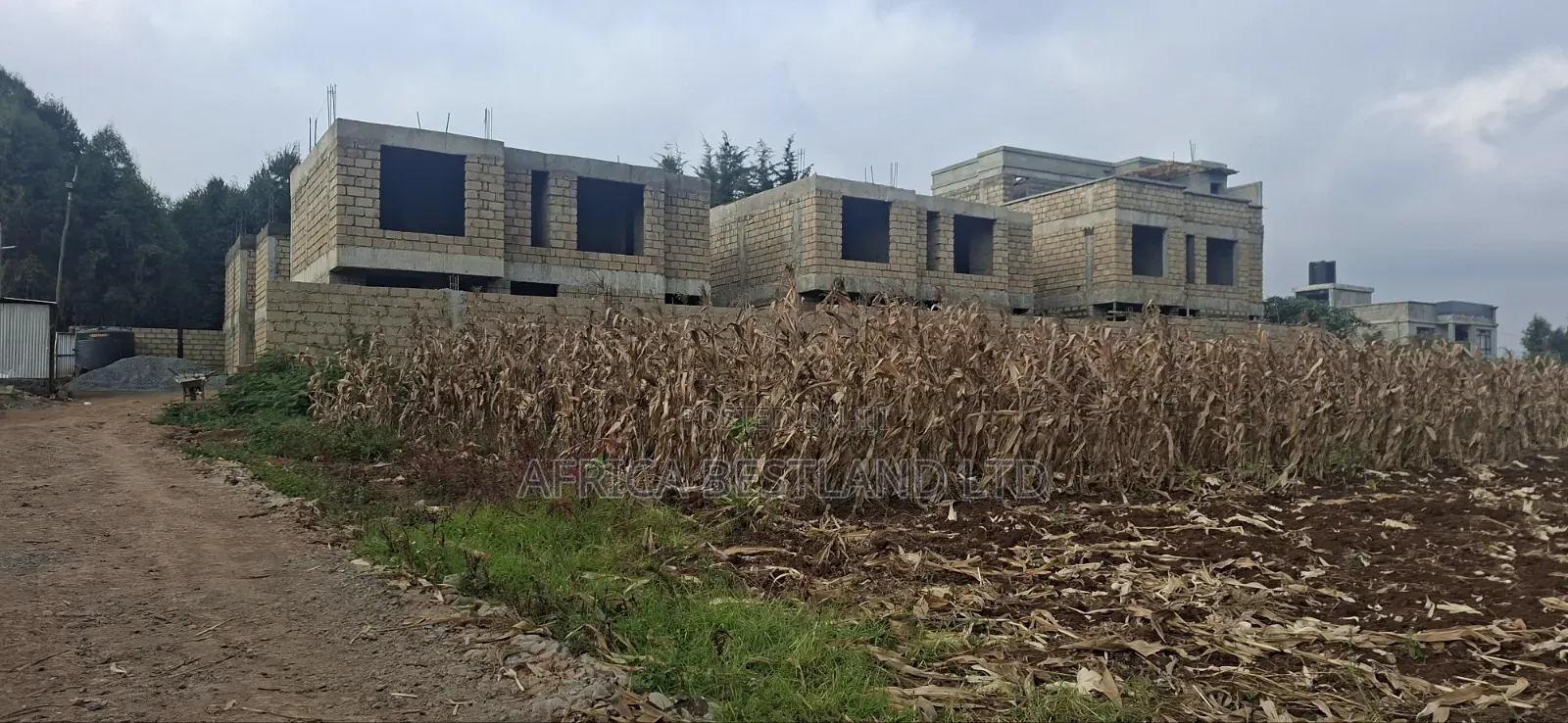 Sale – Kikuyu Thogoto
Prime Investment Opportunity | KSH in Thogoto