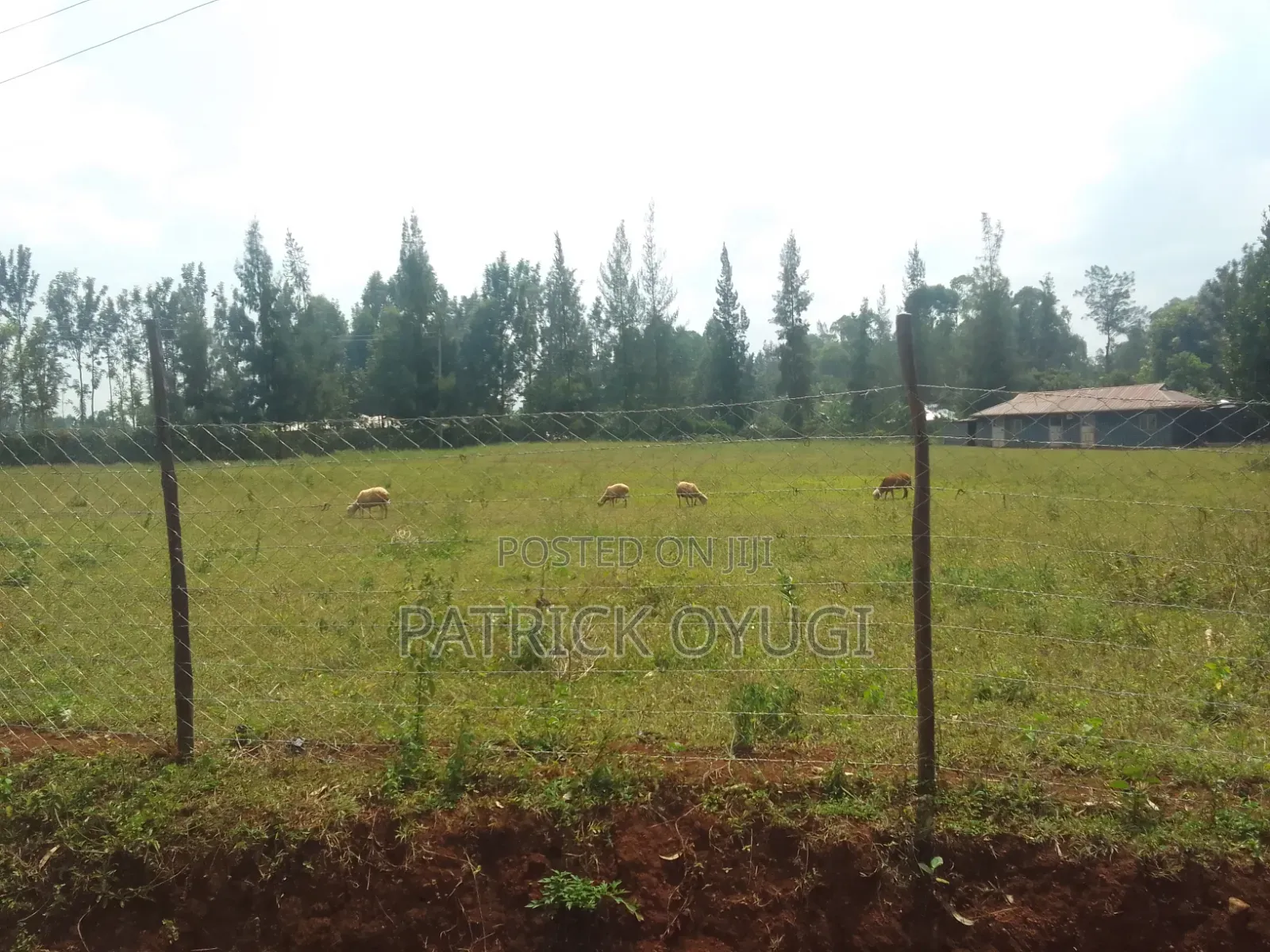 0.7ha for Sale in Kisumu Marera Near Darajambili in Korando