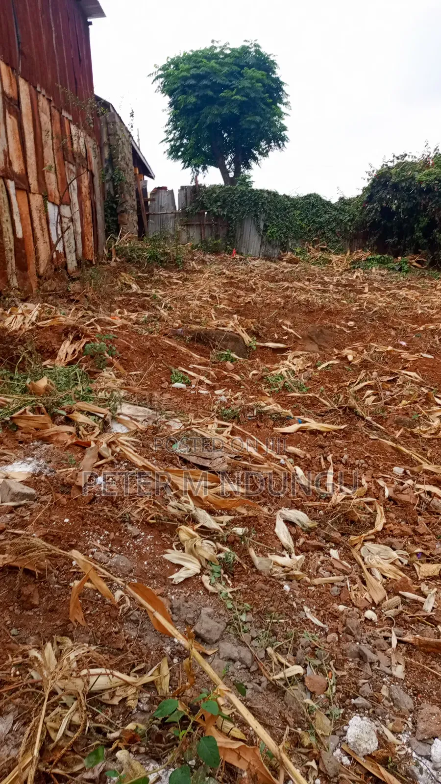 Marurui- Northern Bypass, Commercial Plot 40*80ft for Highrise in Thome